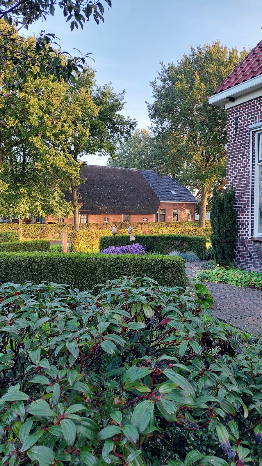 Foto van B&B Kleintje Eleveld