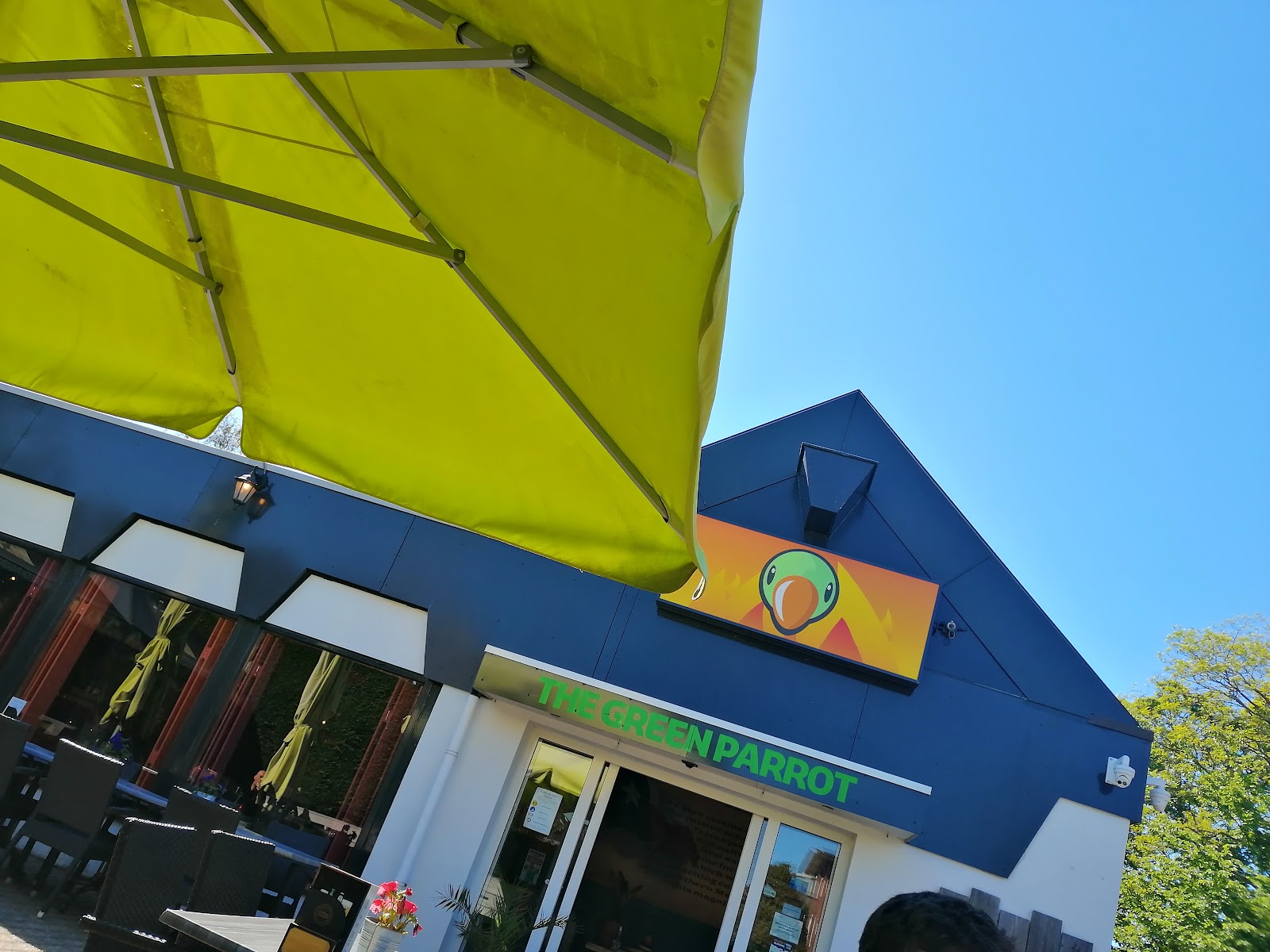 Foto van The Green Parrot
