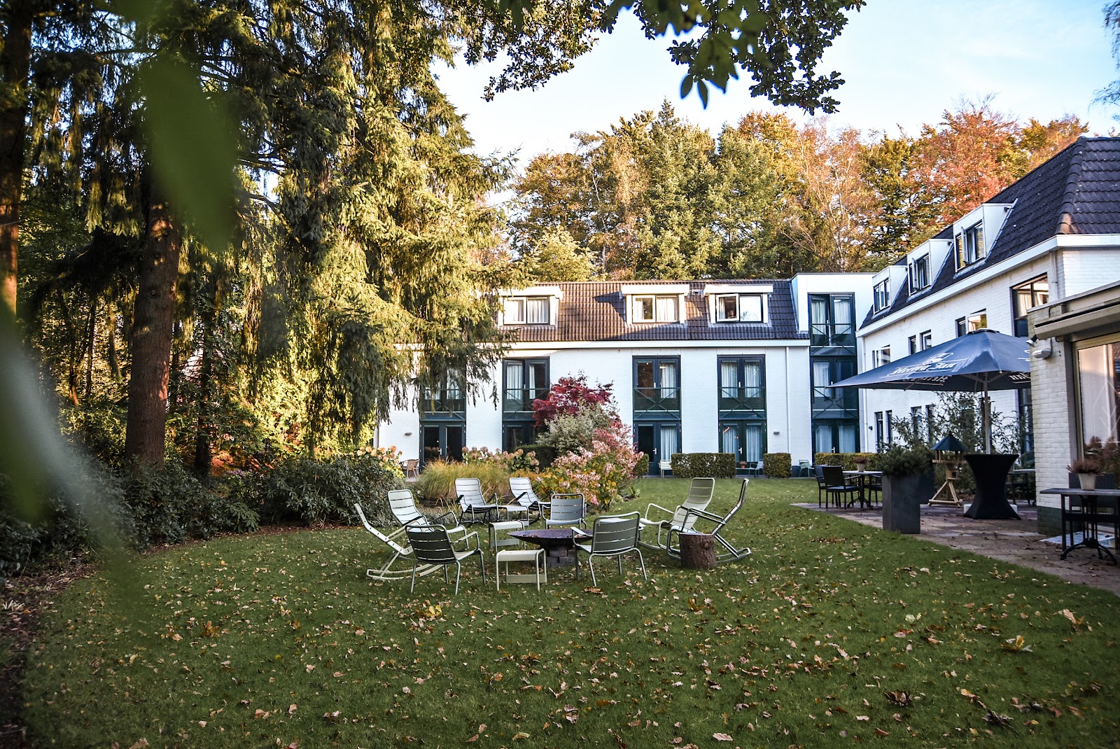 Foto van Witte Berken Natuurhotel