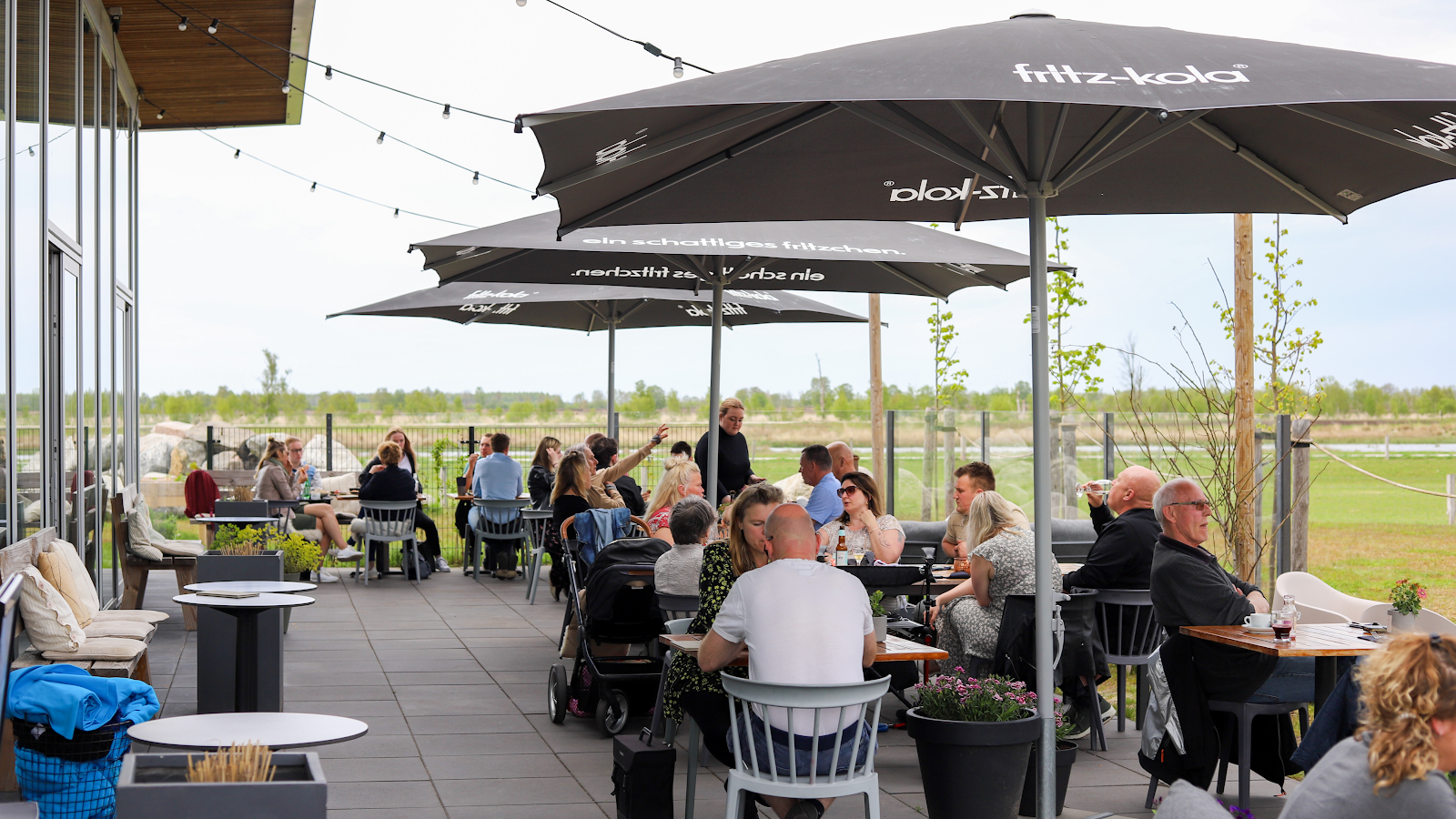 Foto van Restaurant Wollegras