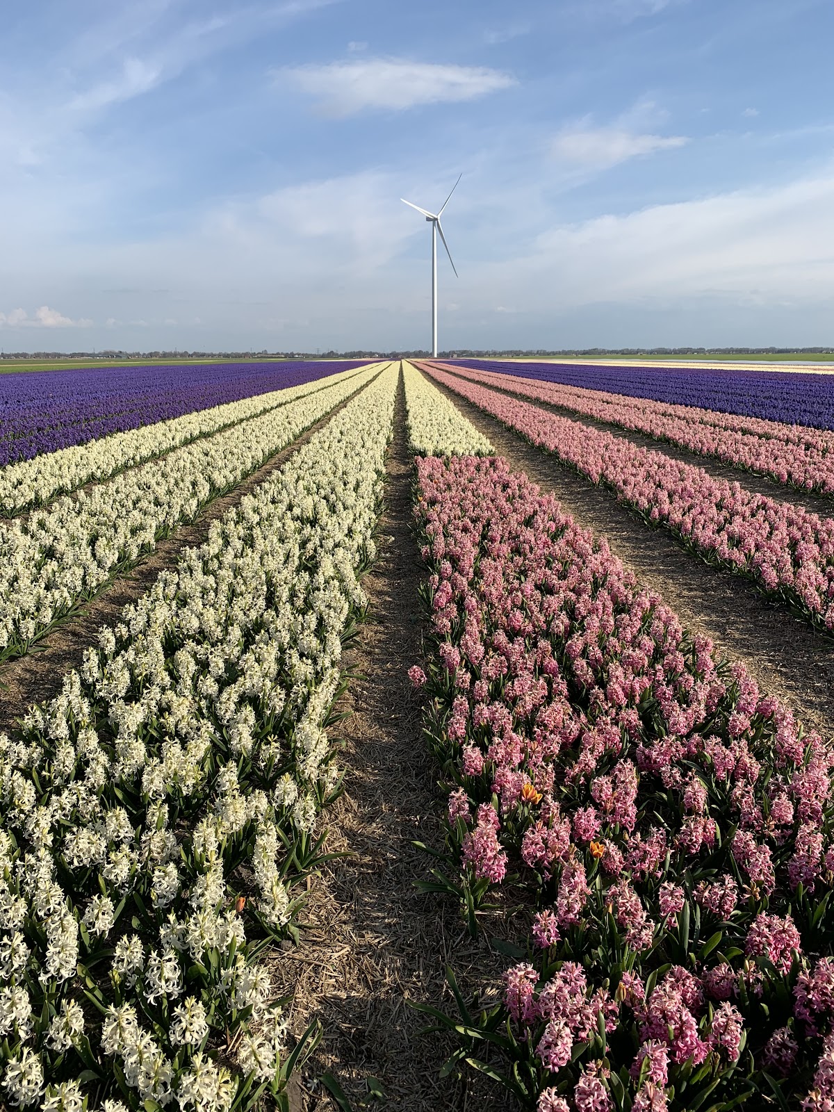 Foto van 2e Exloërmond