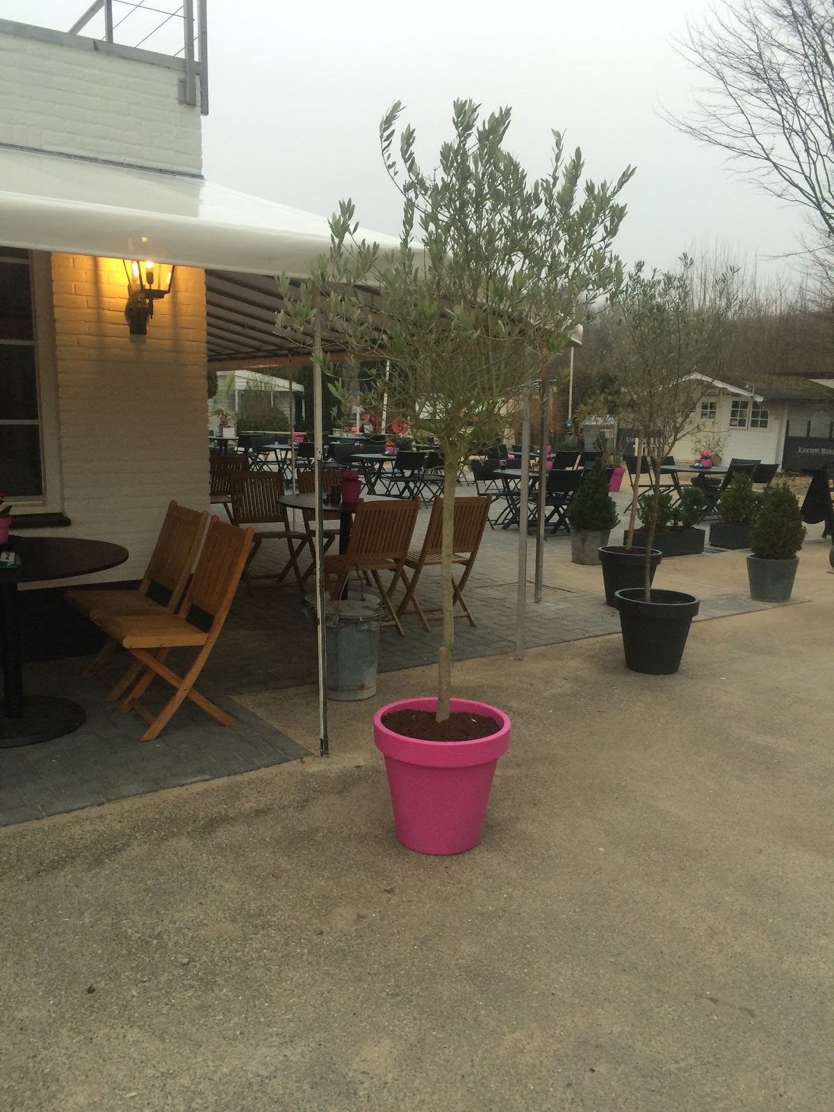 Foto van Camperplaats/Camping De Boskant/ Restaurant