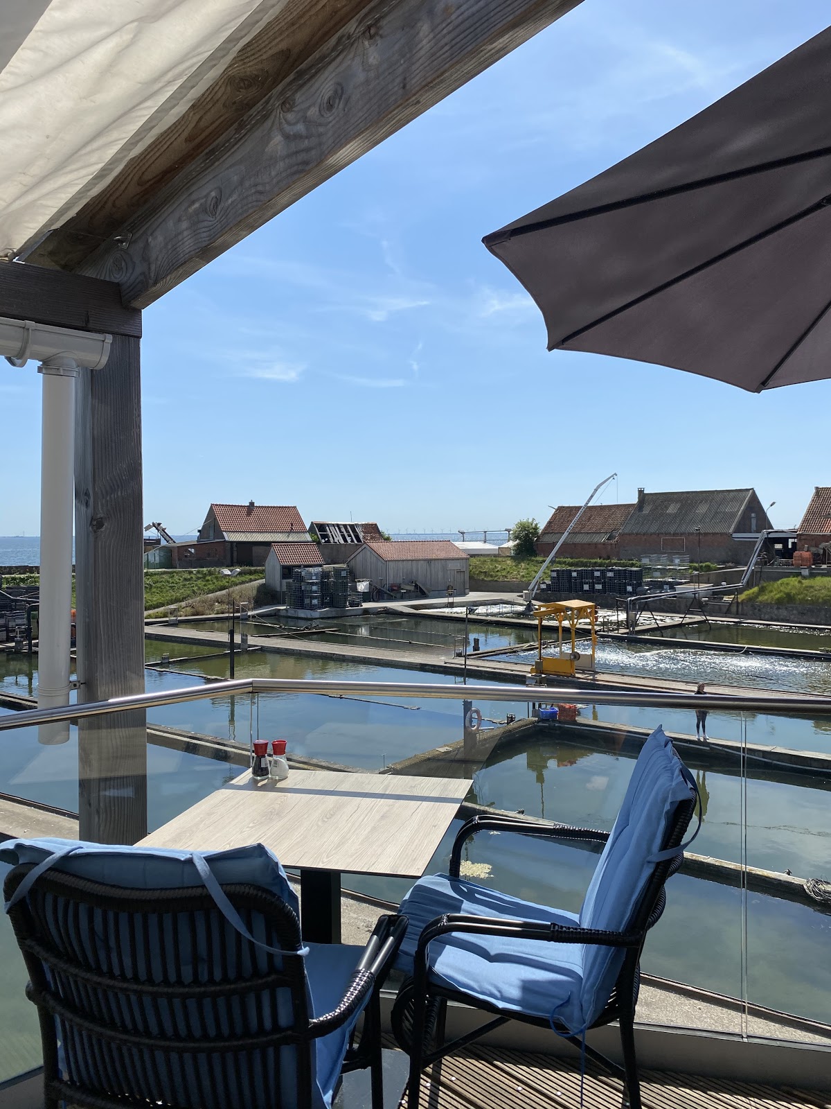 Foto van Oesters & Bubbels