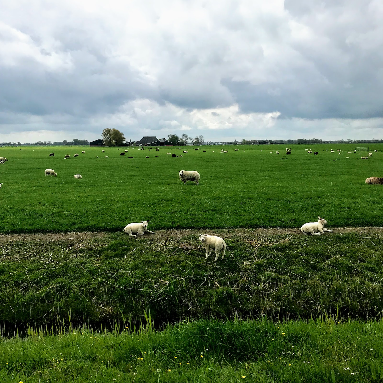 Foto van Hantumerútbuorren