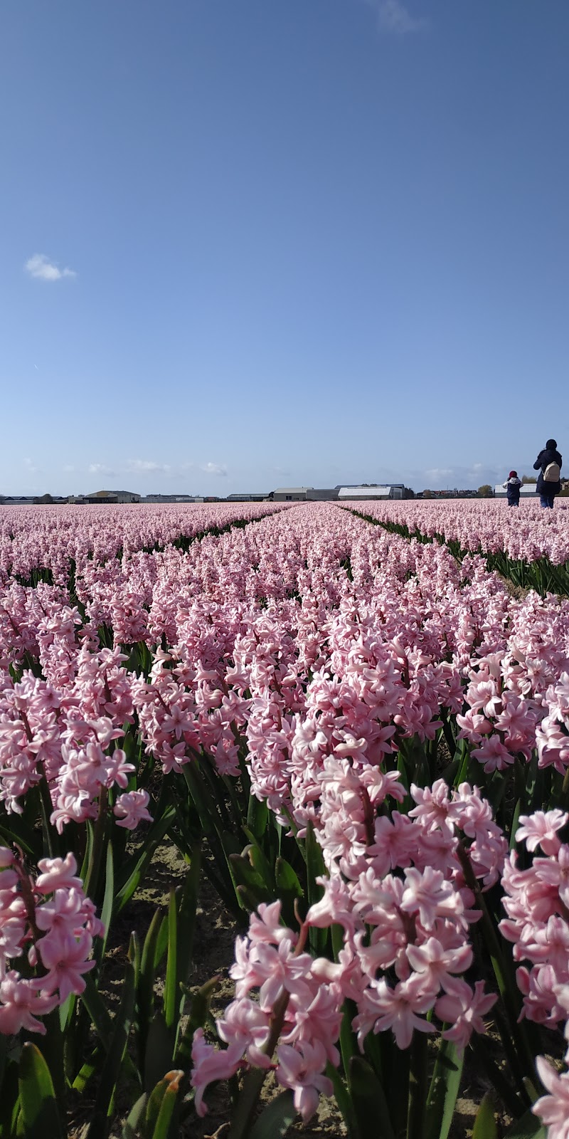 Foto van Stichting Kooksaam, dagbesteding en leerbedrijf