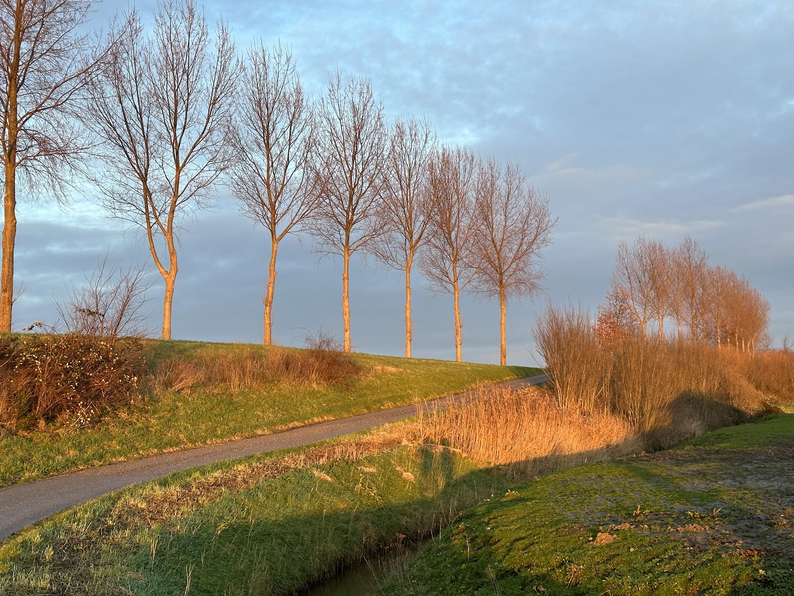 Foto van 's Heer Hendrikskinderen
