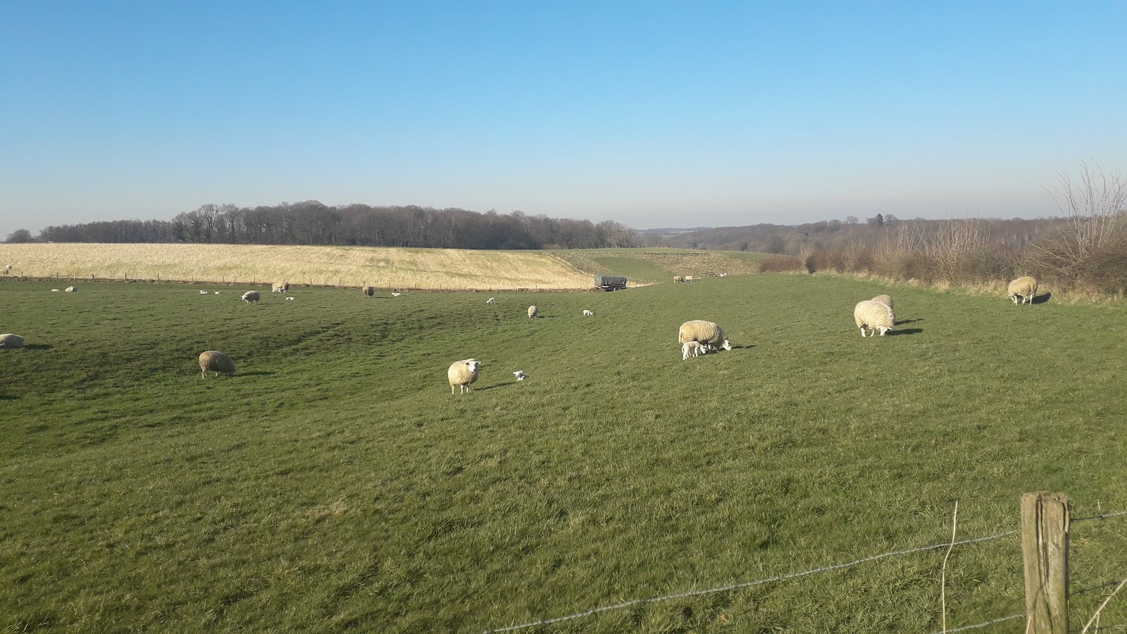 Foto van Terras Heijenraderweg