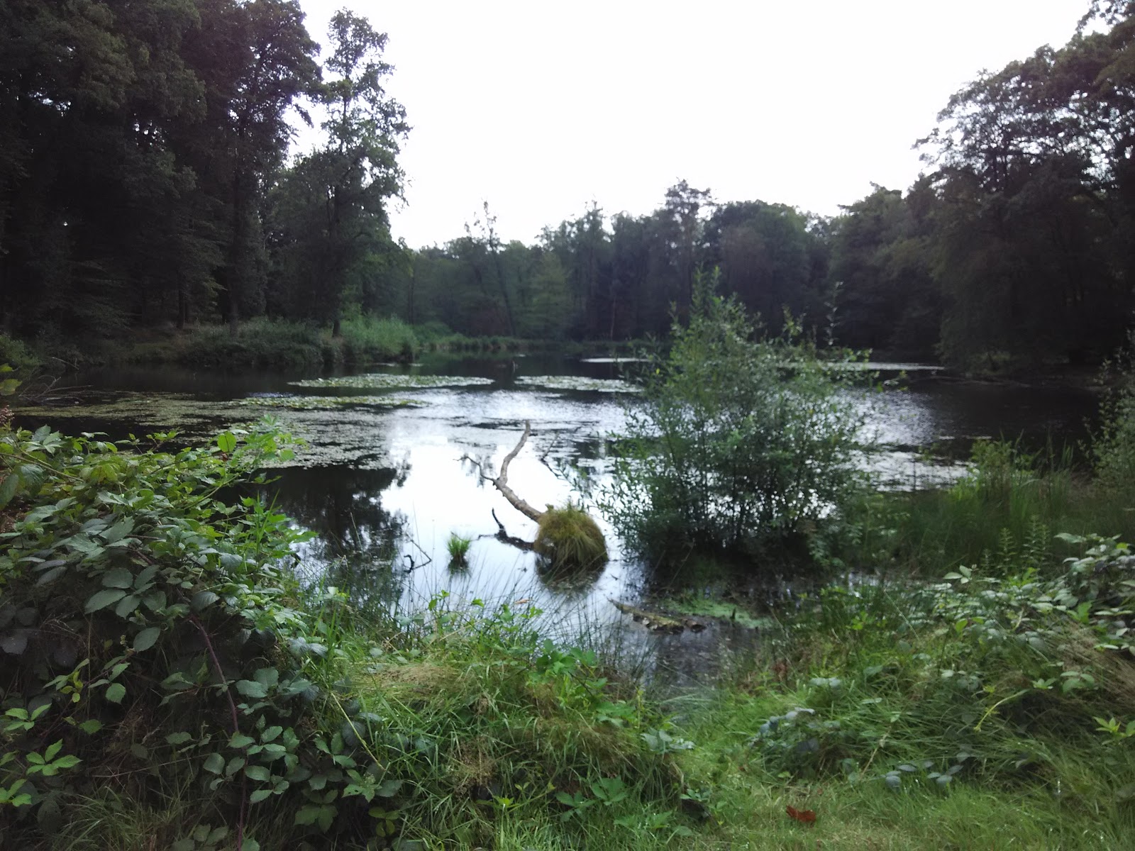 Foto van Brunninkhuis