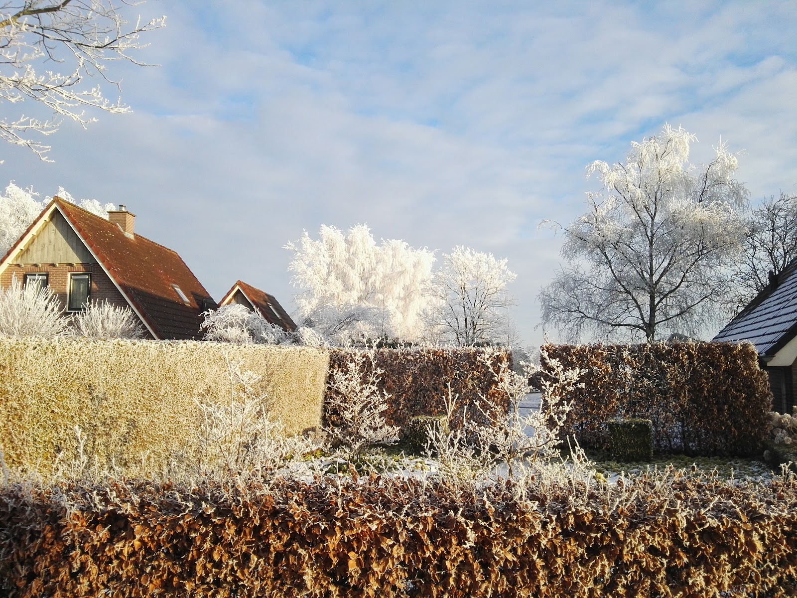 Foto van Hoogenweg De