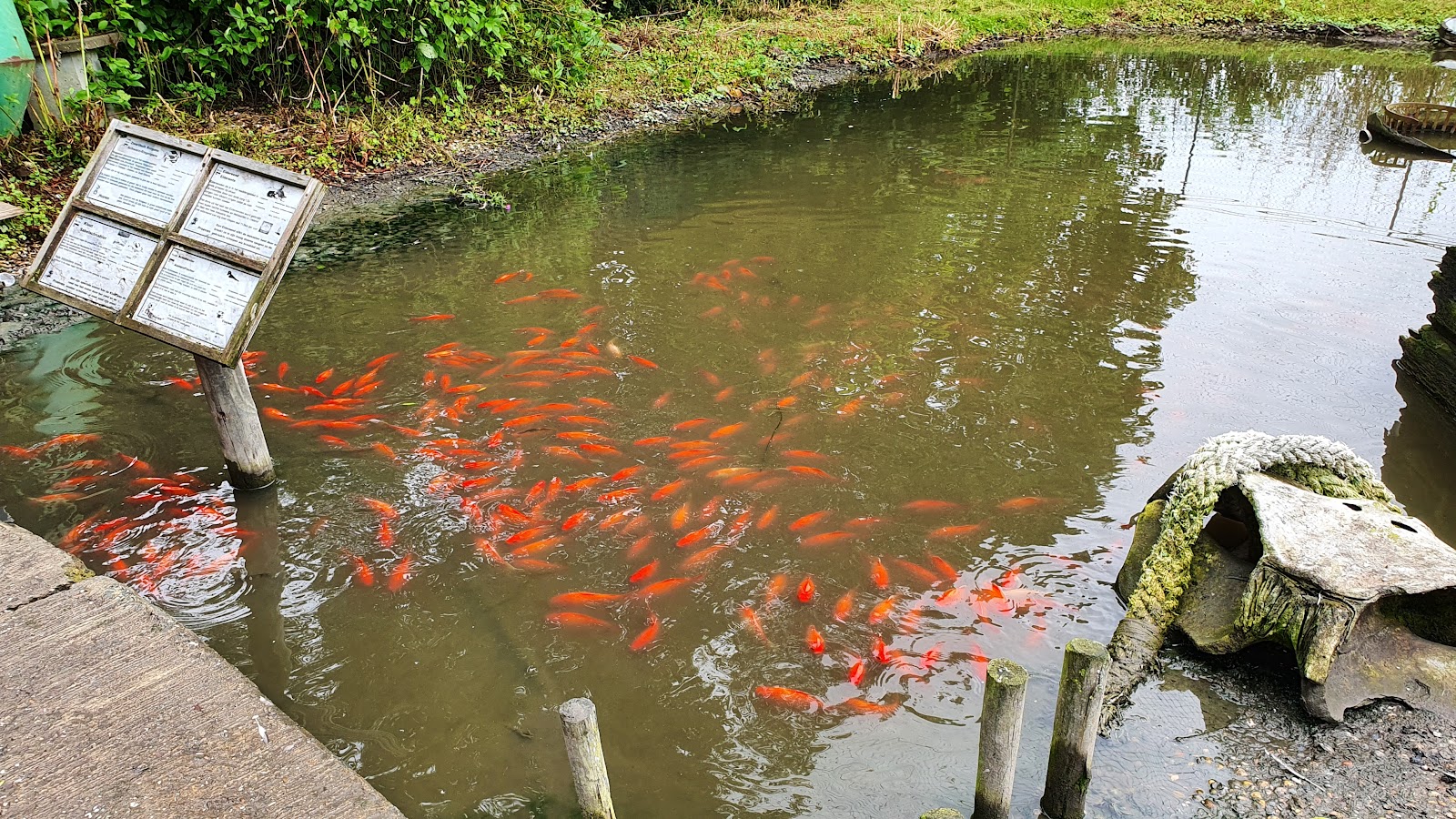 Foto van DoeZOO