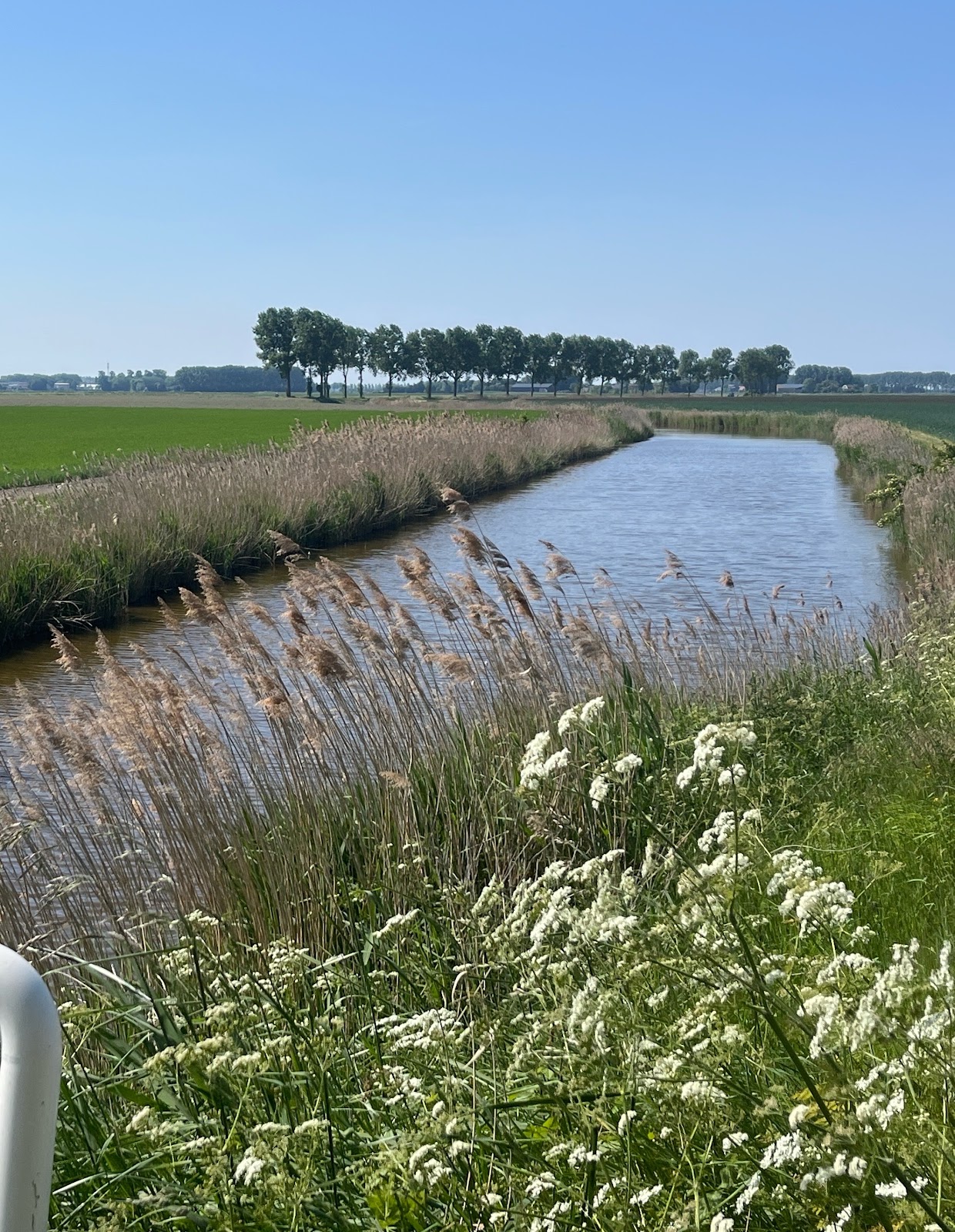 Foto van Mauritshof 5, IJzendijke