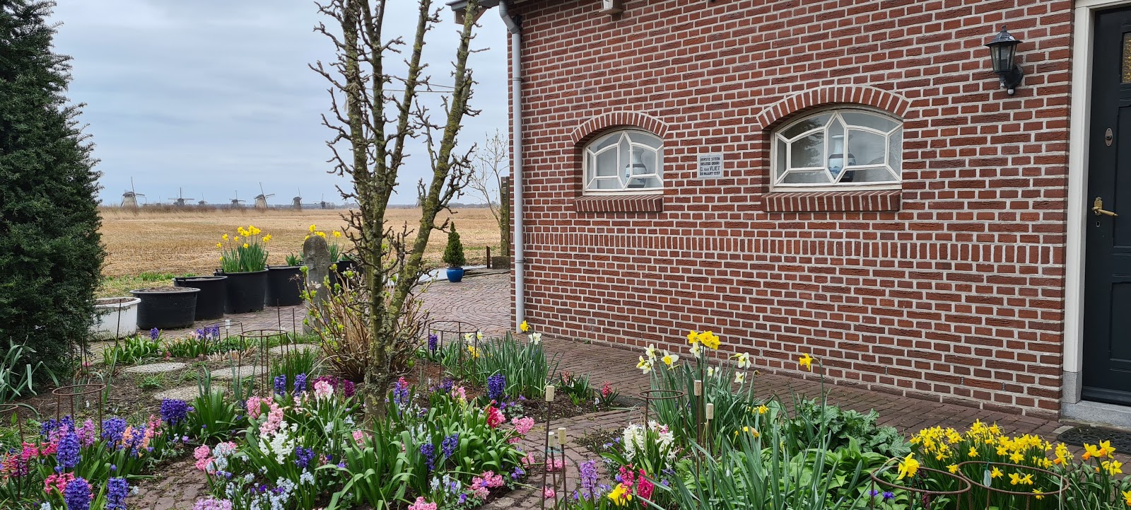 Foto van Bed & Breakfast Molenblick