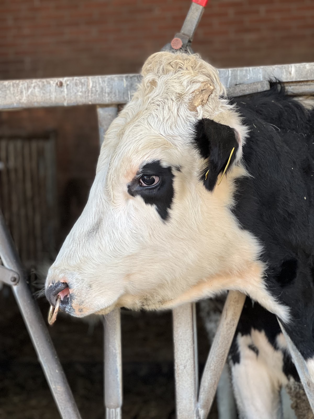Foto van Zorg- & educatieboerderij Kloosterhoeve