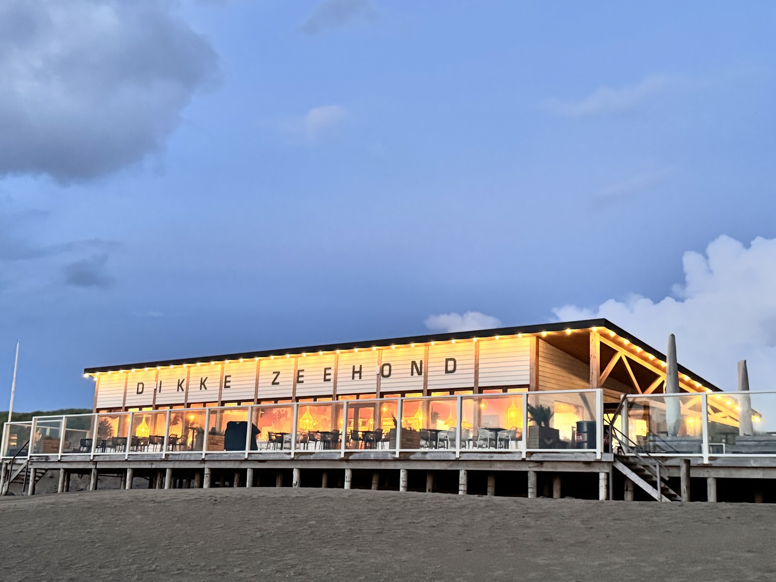Foto van Dikke Zeehond - Strandpaviljoen Paal 20