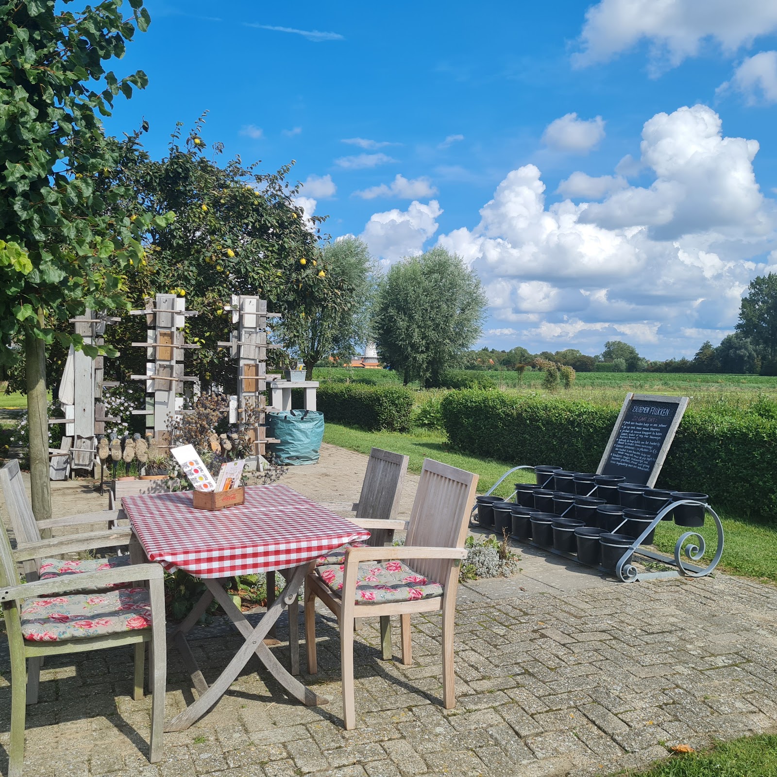 Foto van Theeschenkerij de Pluktuin