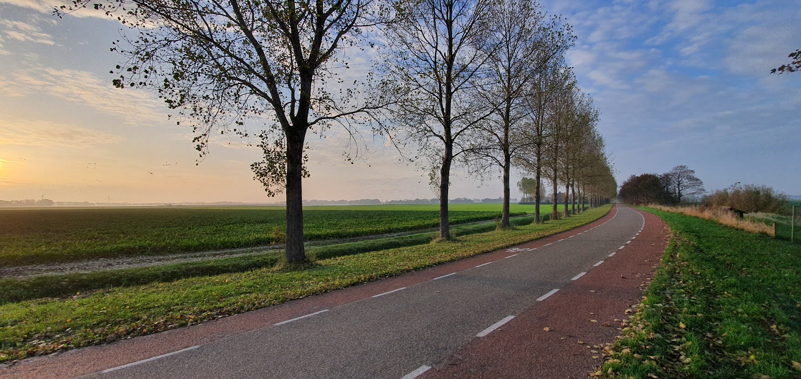 Foto van Kreileroord
