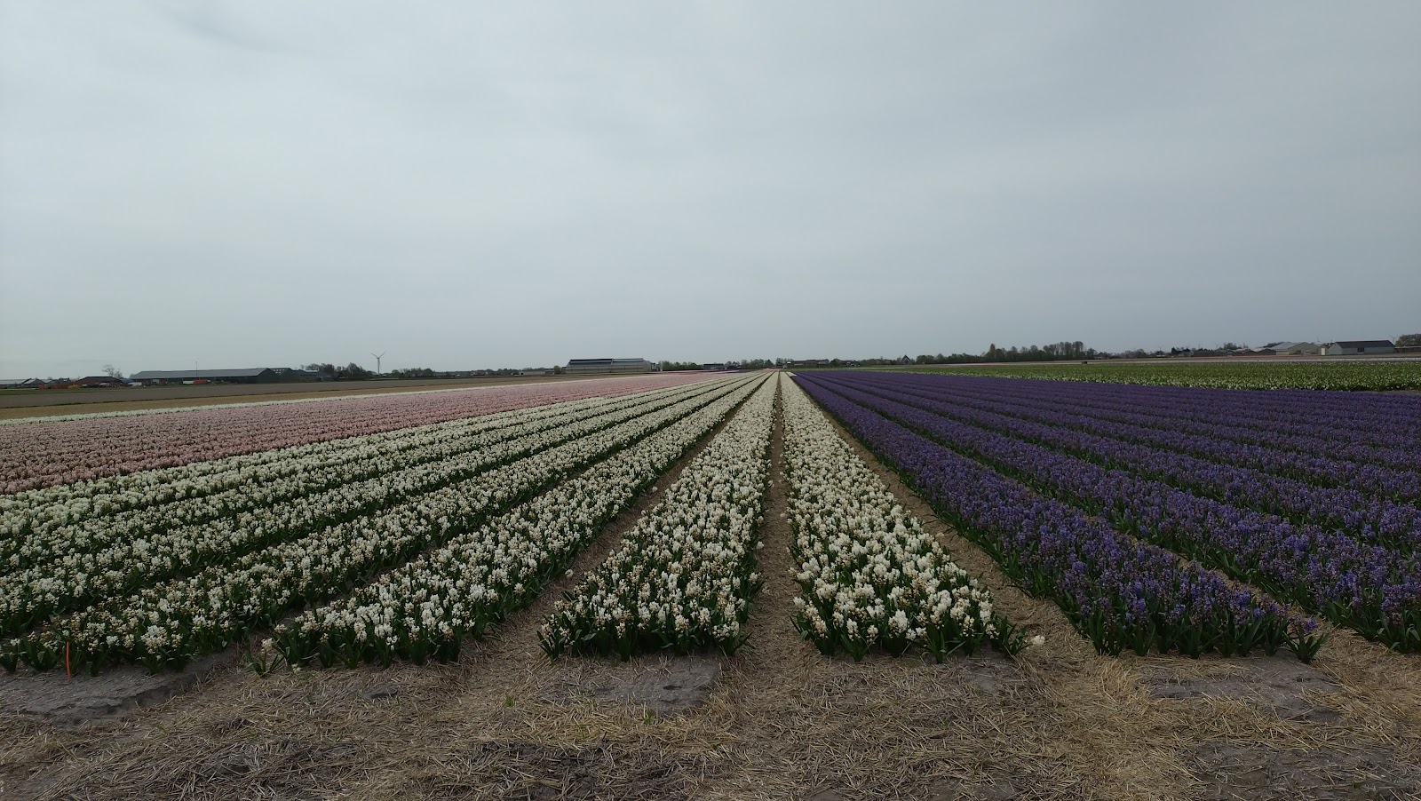 Foto van Eetcafé de Prins
