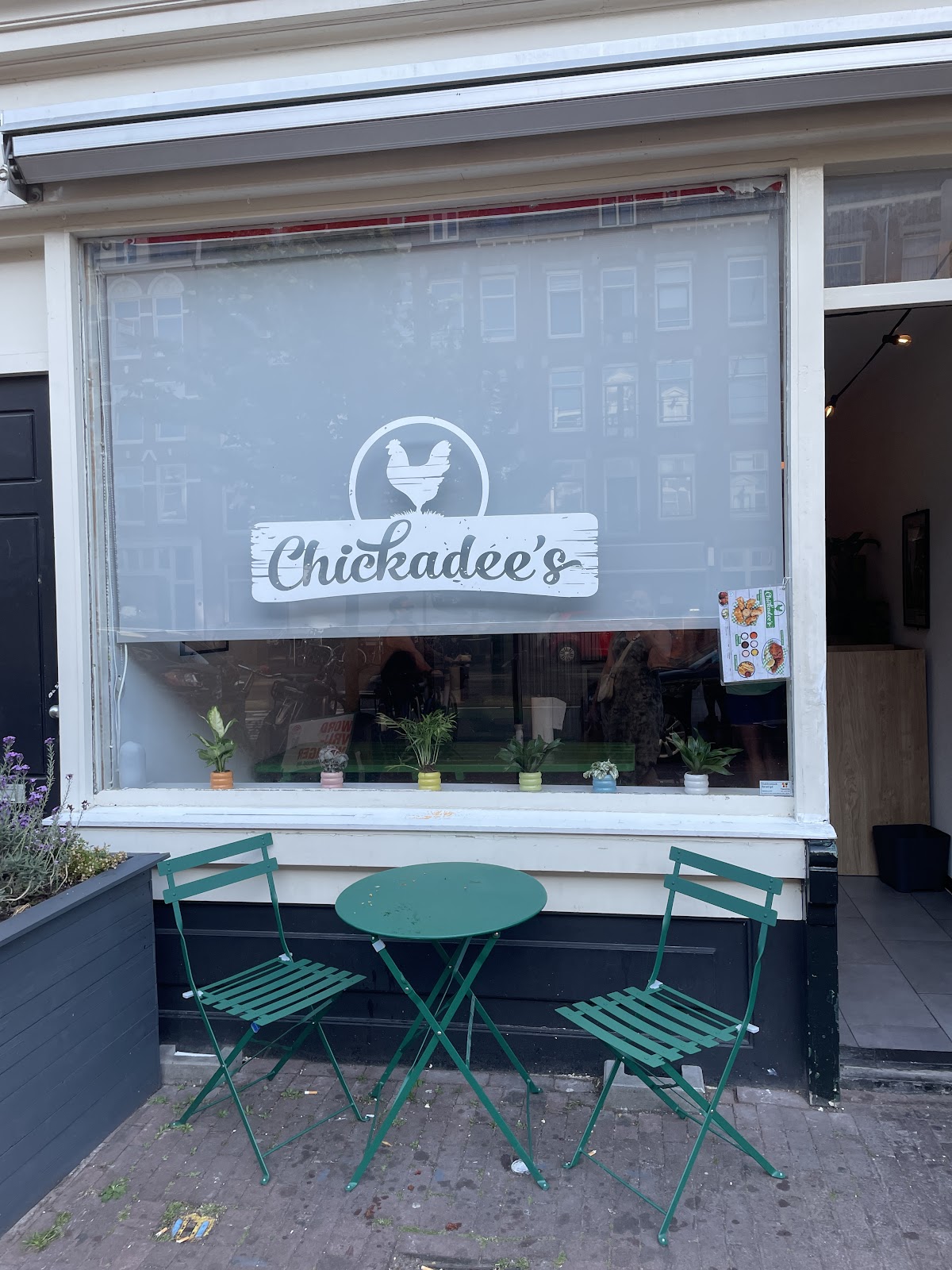 Foto van Chickadee's