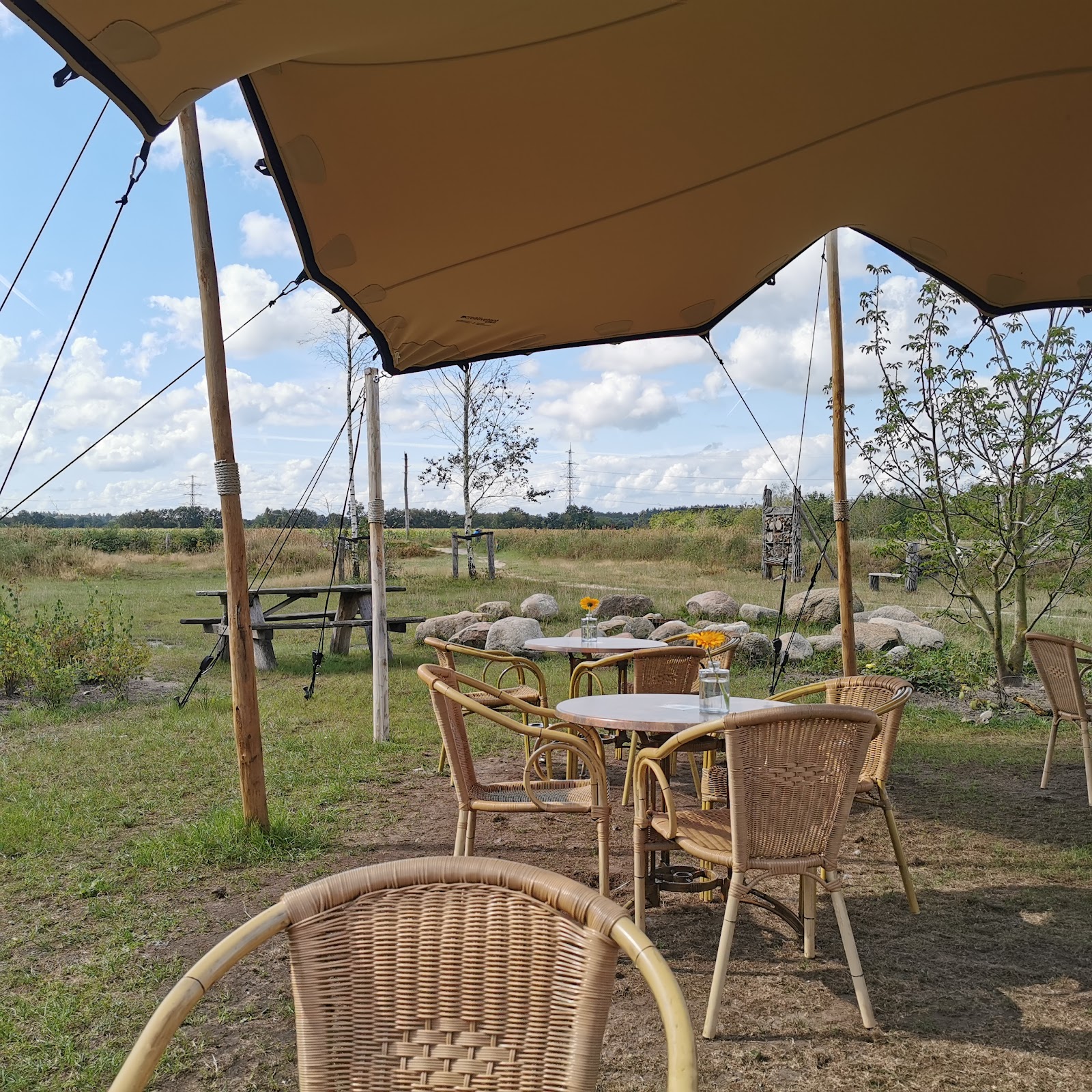 Foto van Natuurplaats Noordsche Veld