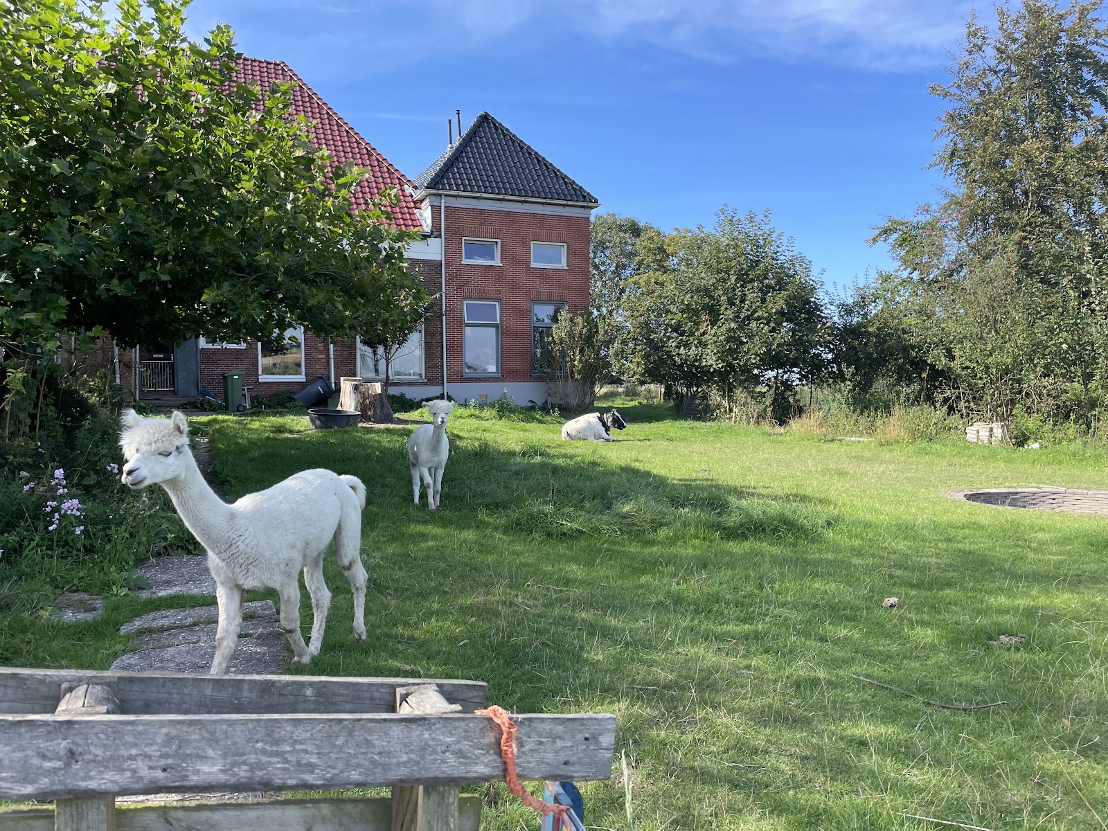 Foto van Minicamping A-Hoeve