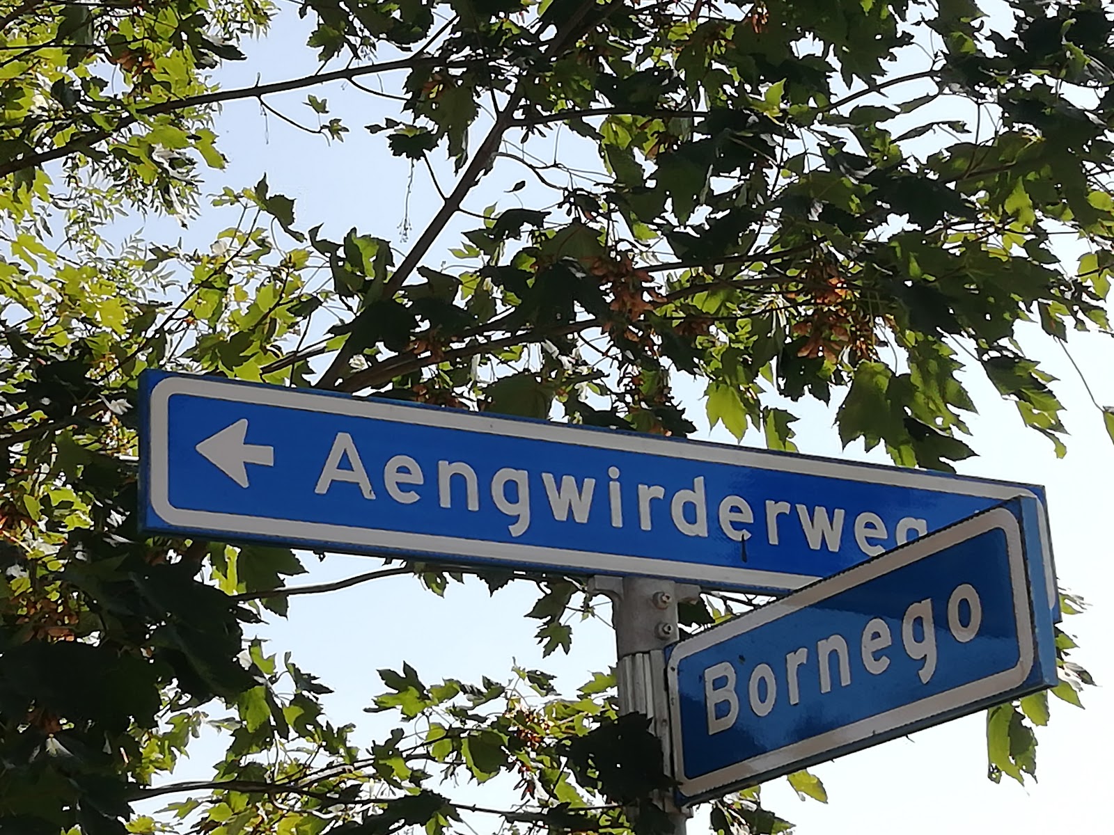 Foto van Café Onder de Linden