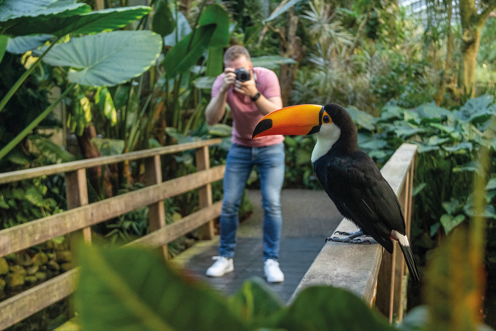 Foto van Pantropica (voorheen de Orchideeën Hoeve)