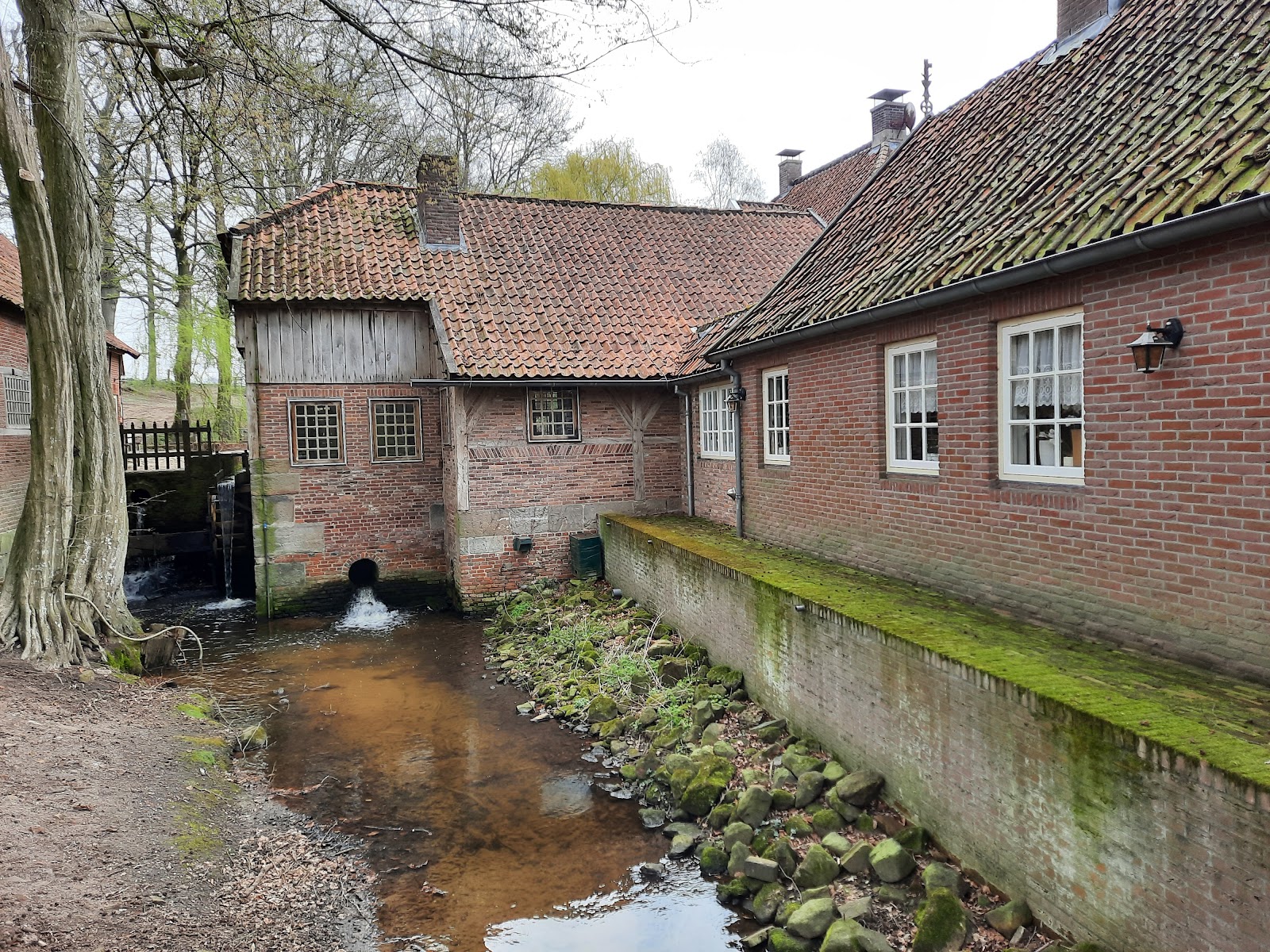 Foto van Molen van Bels