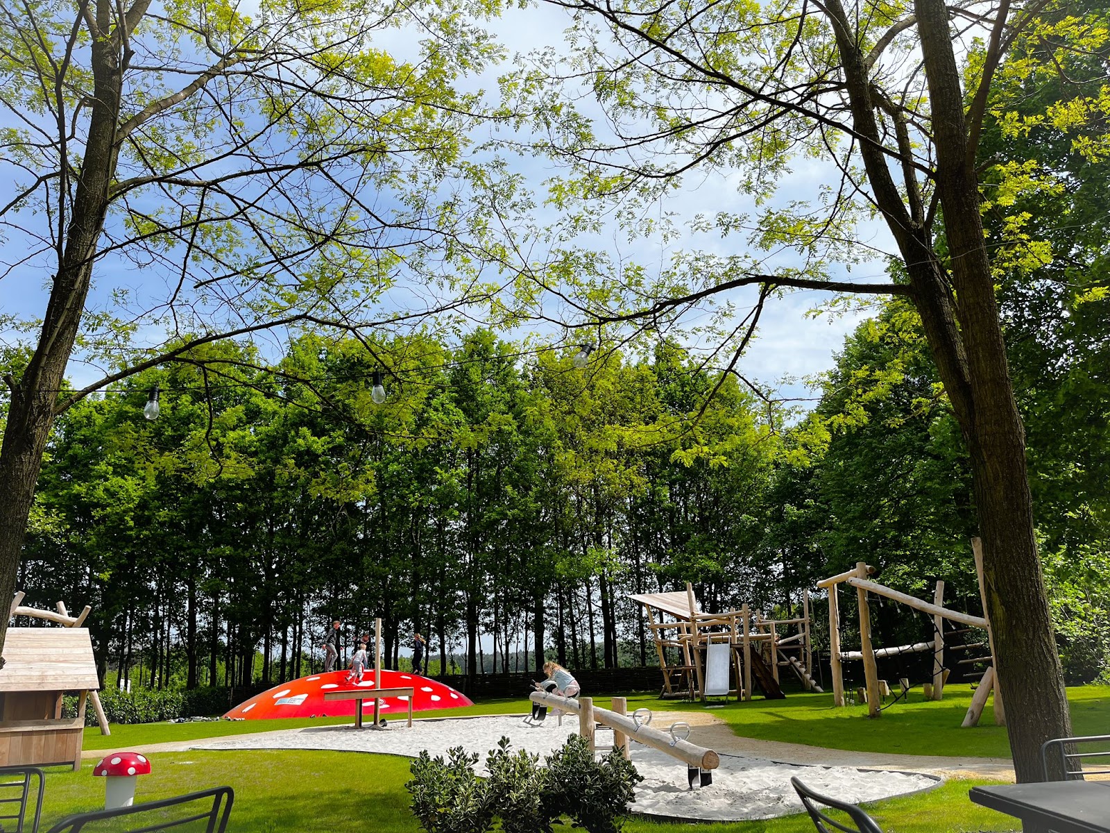 Foto van Speeltuin de Zwammenberg
