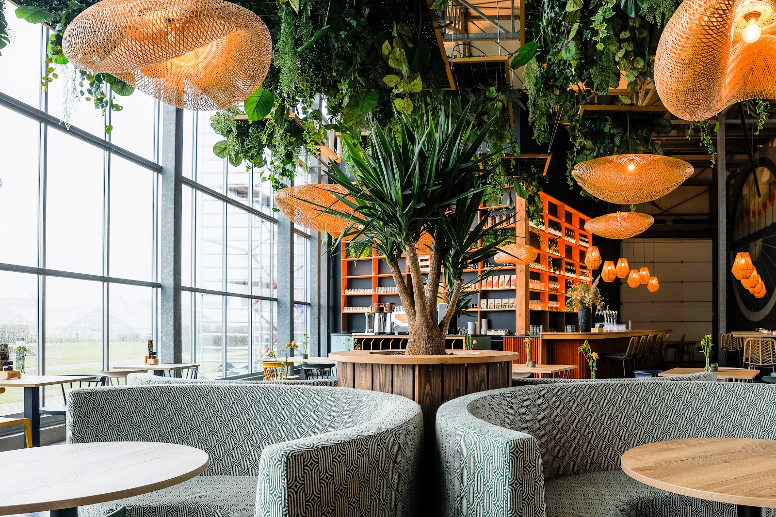 Foto van The Vineyard
