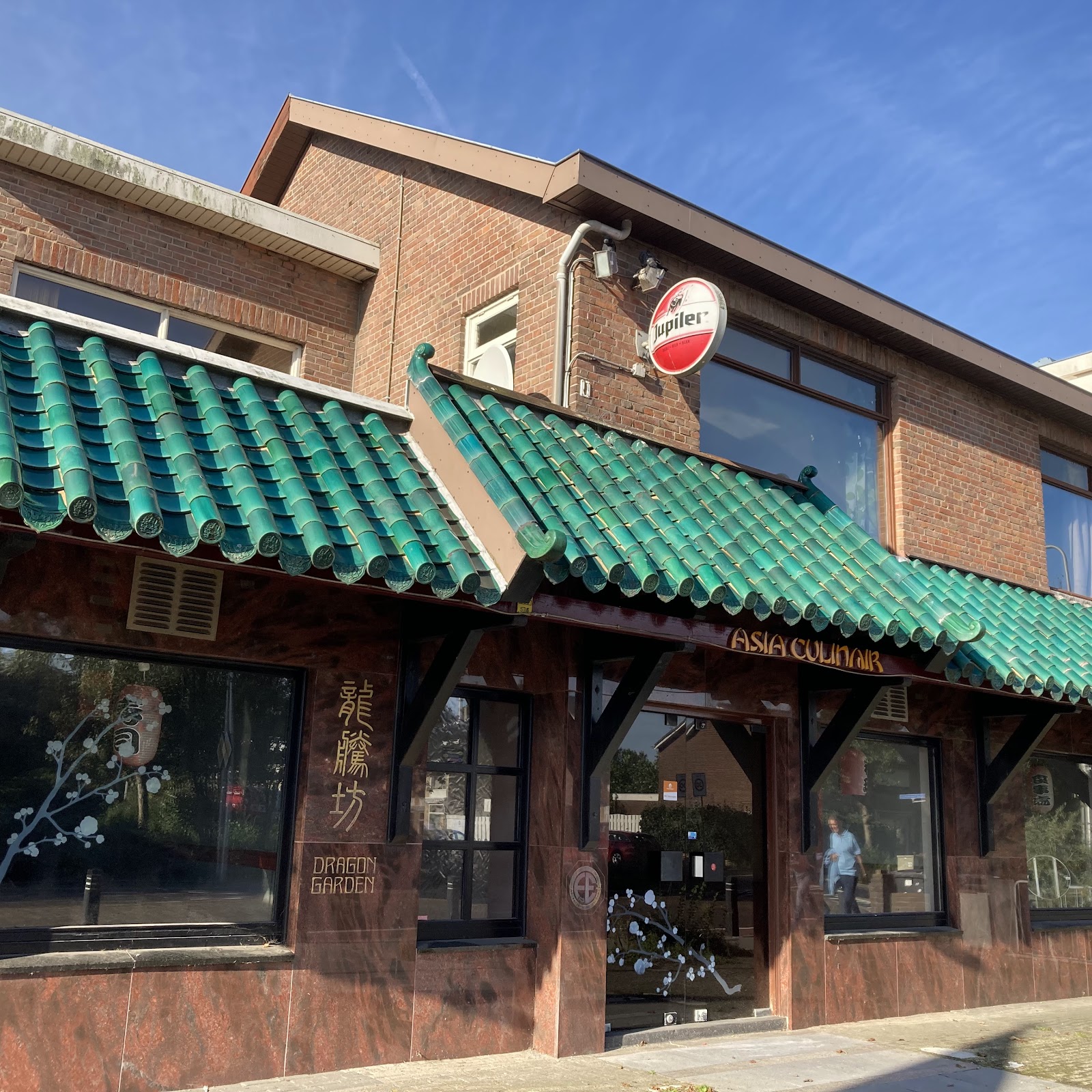 Foto van New Dragon Garden Aziatisch Restaurant