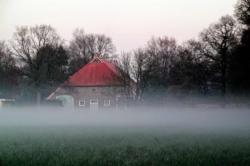 Foto van Steekjelos