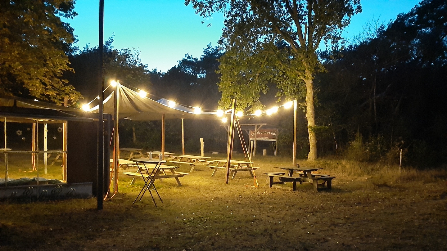 Foto van Losdoorhetbos B&BdeMaashorst