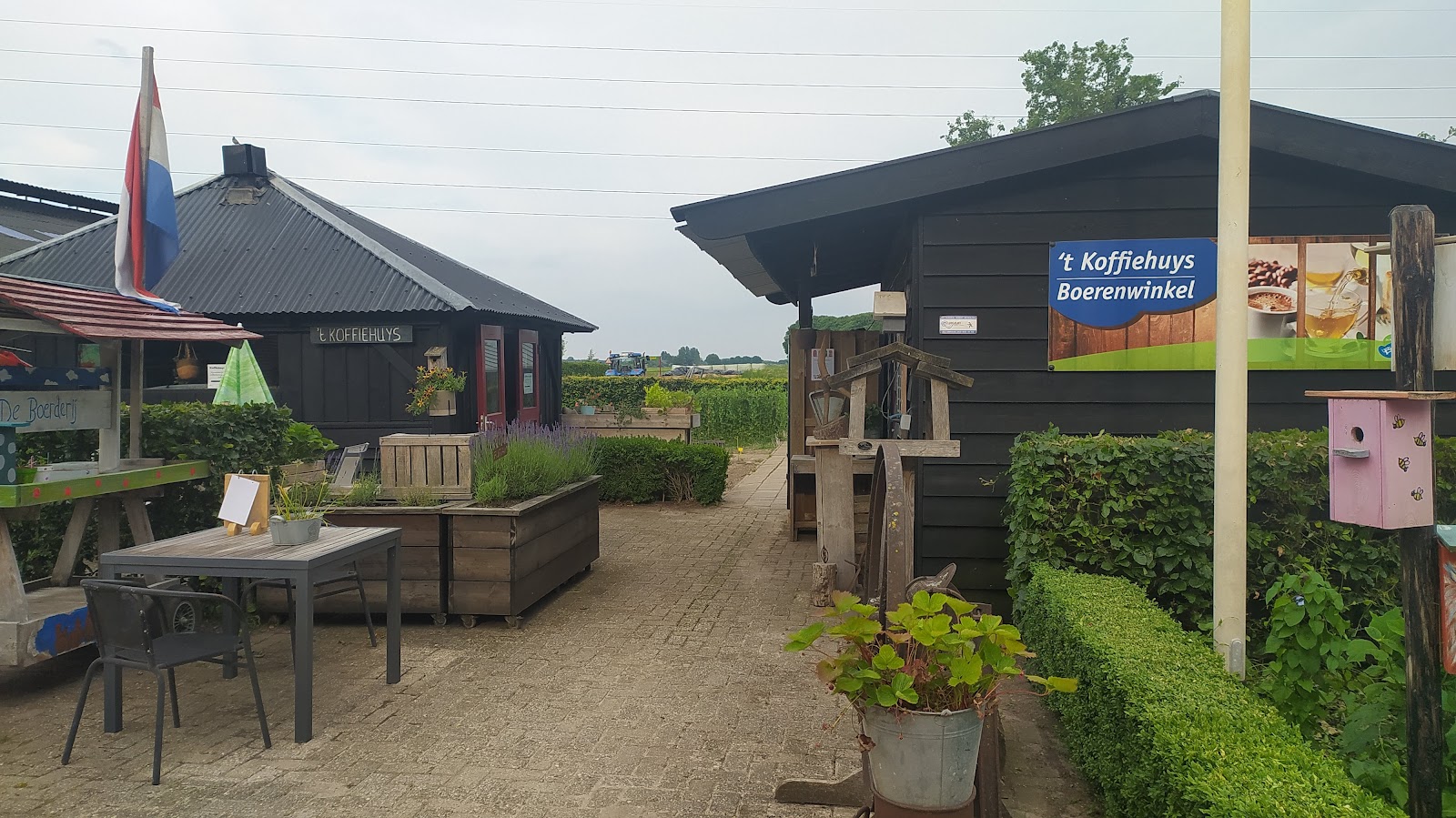 Foto van Dromen bij de boer
