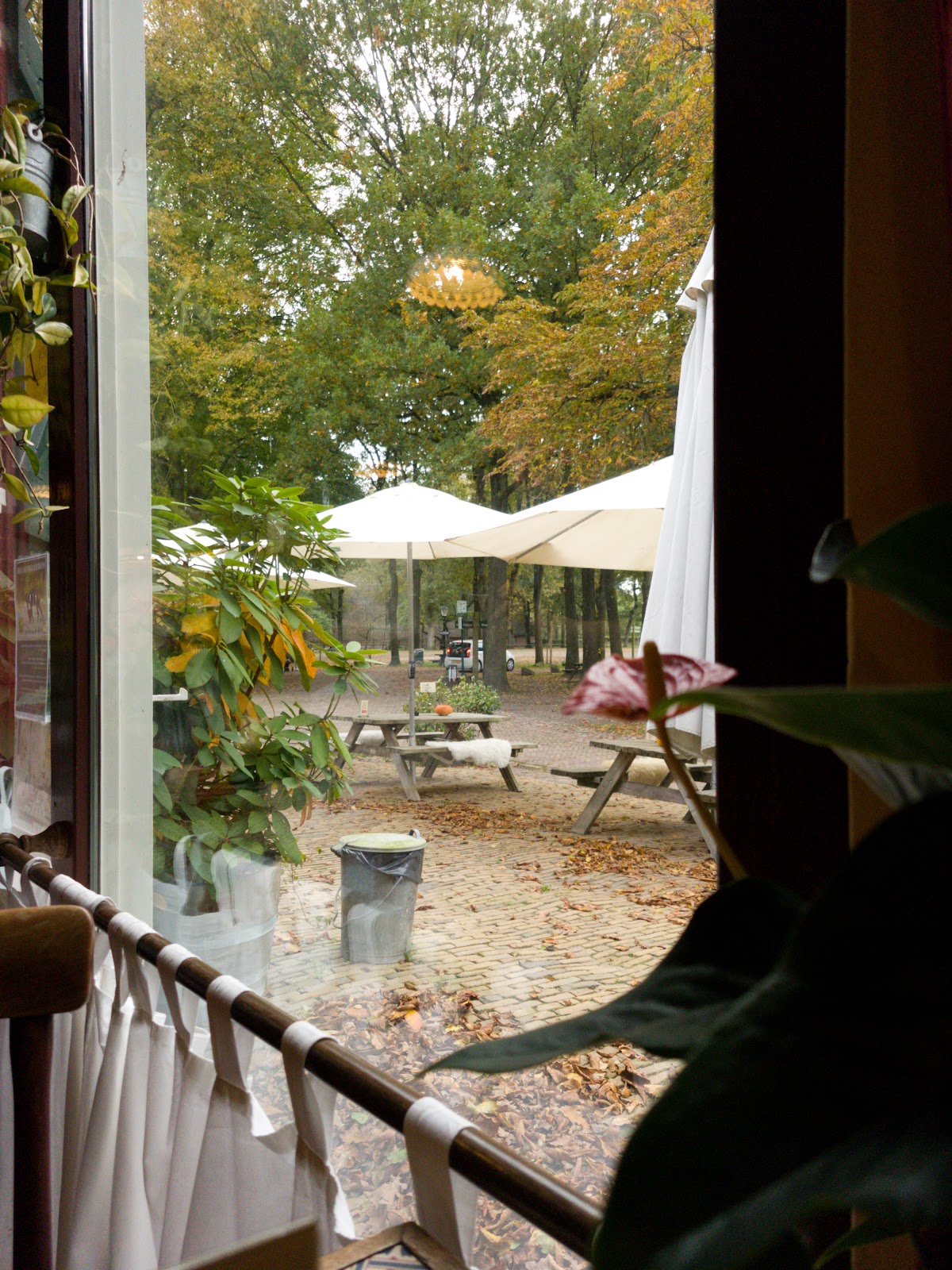 Foto van Dorpscafe Warmolts