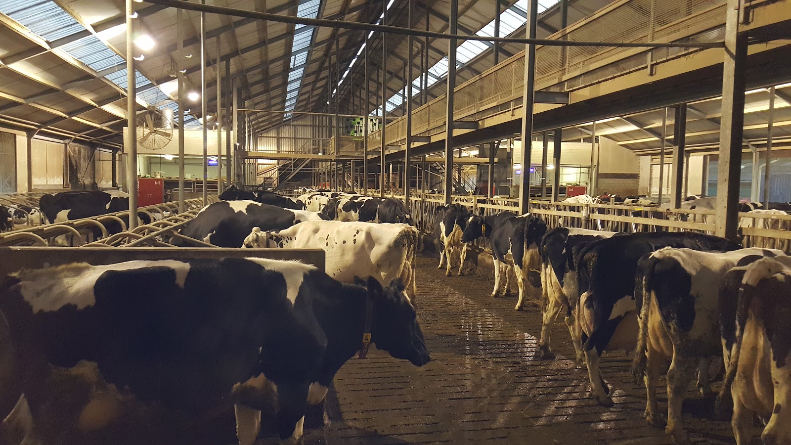 Foto van Groepsuitje Limburg