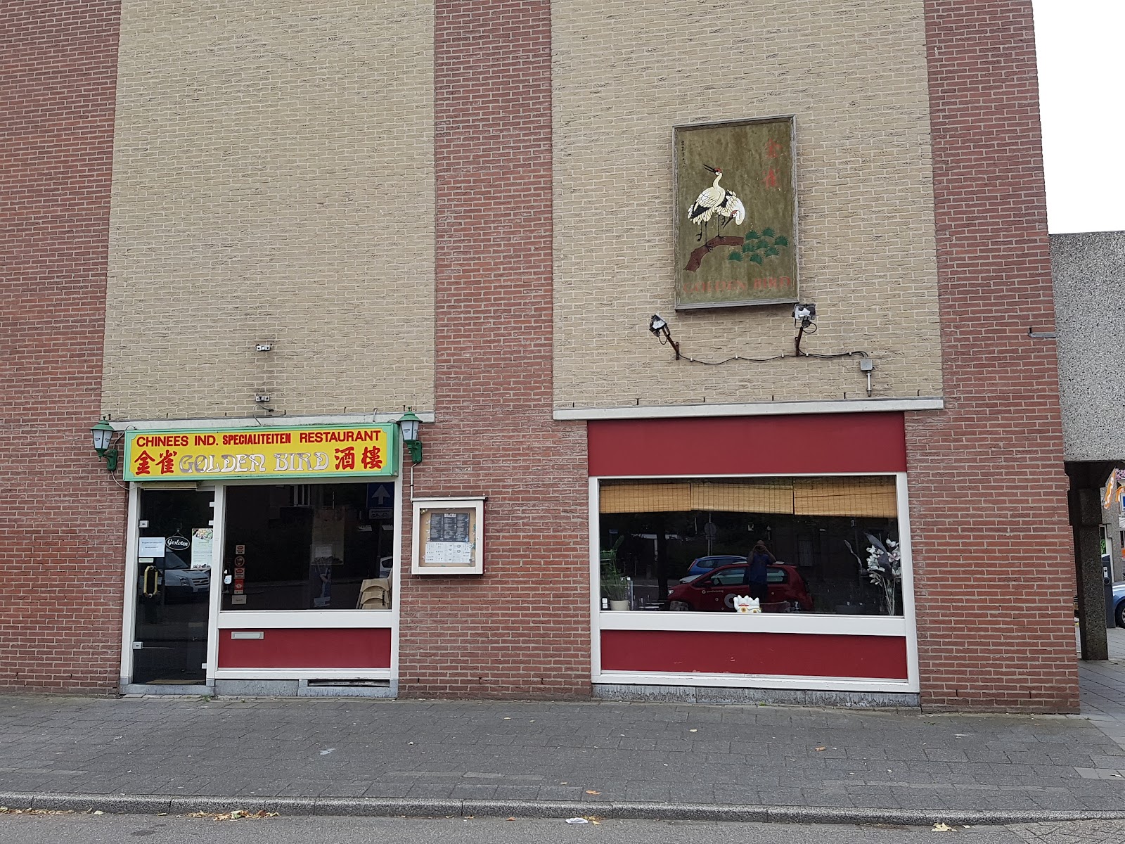 Foto van Golden Bird