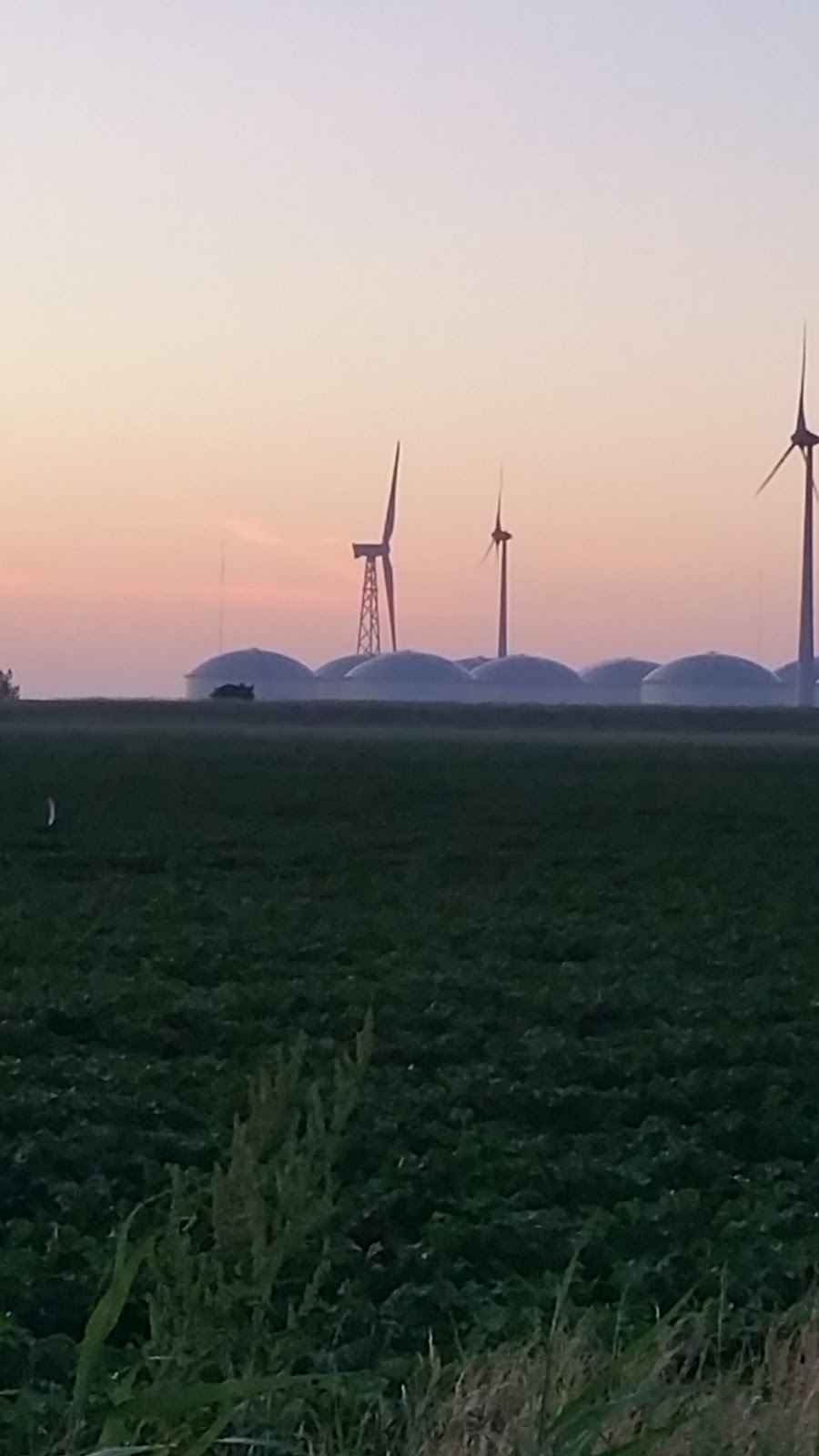 Foto van Oudeschip