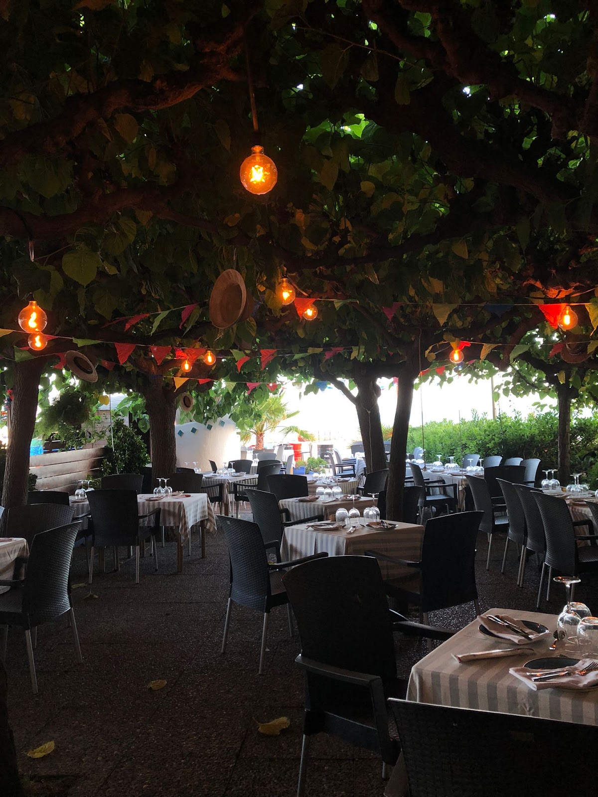 Foto van Restaurant Terrassa Voramar