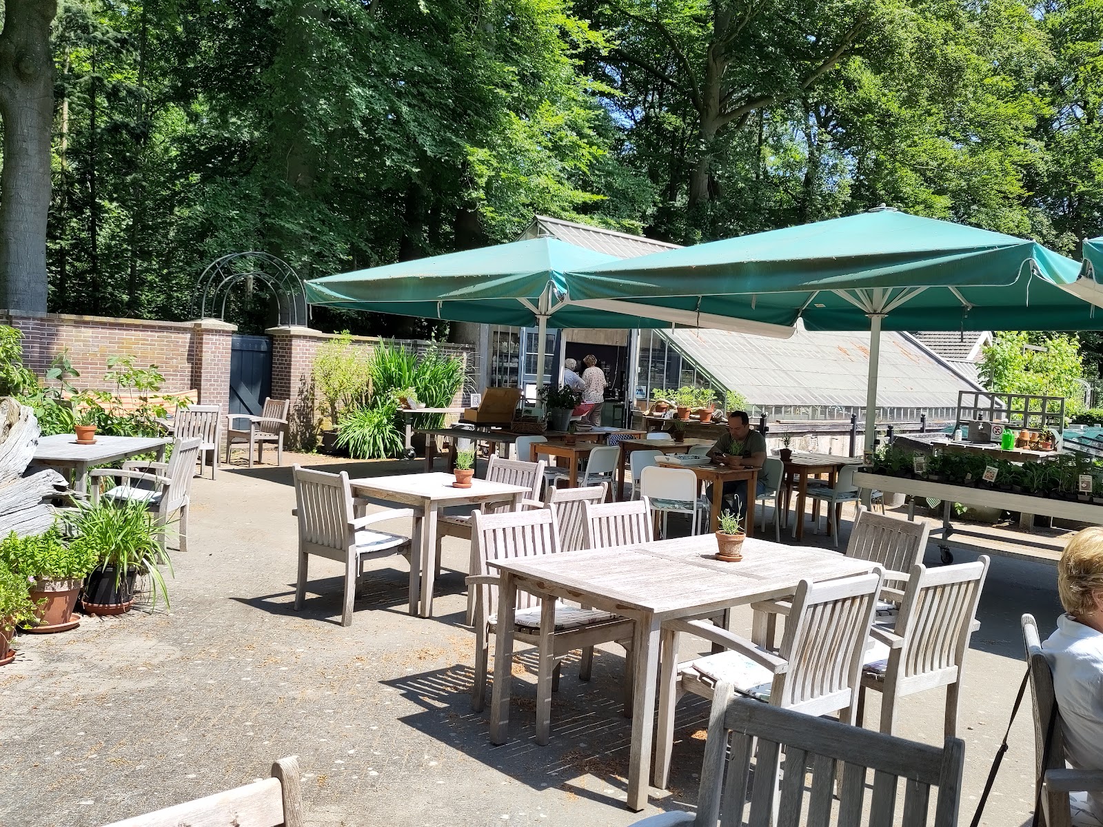 Foto van Theetuin bartimeus