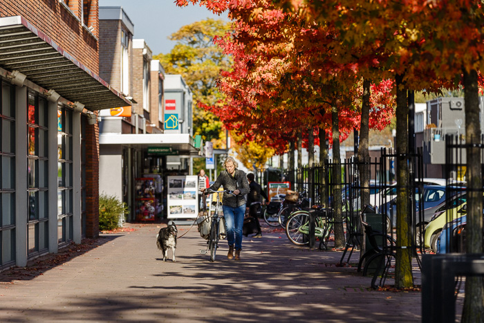 Foto van Winkelcentrum Puttershoek
