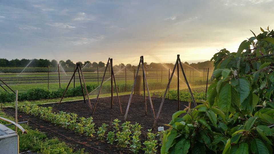 Foto van Doe-boerderij An 't Hoag