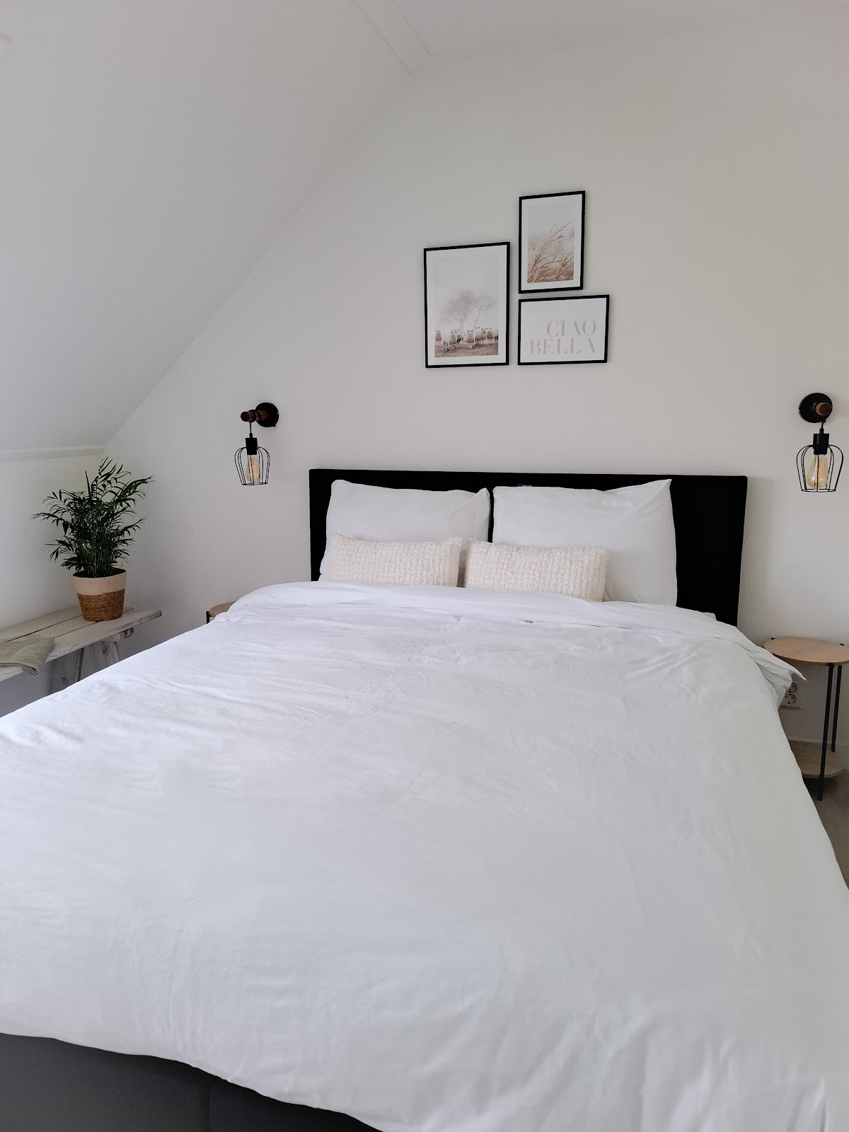 Foto van De Bokkeleane - B&B, Taart & Meer in Friesland
