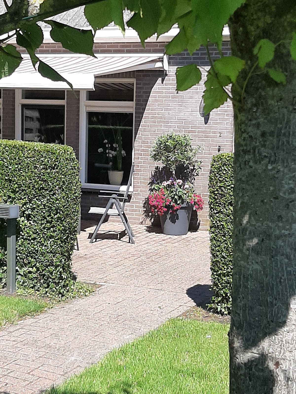 Foto van Bekedamster