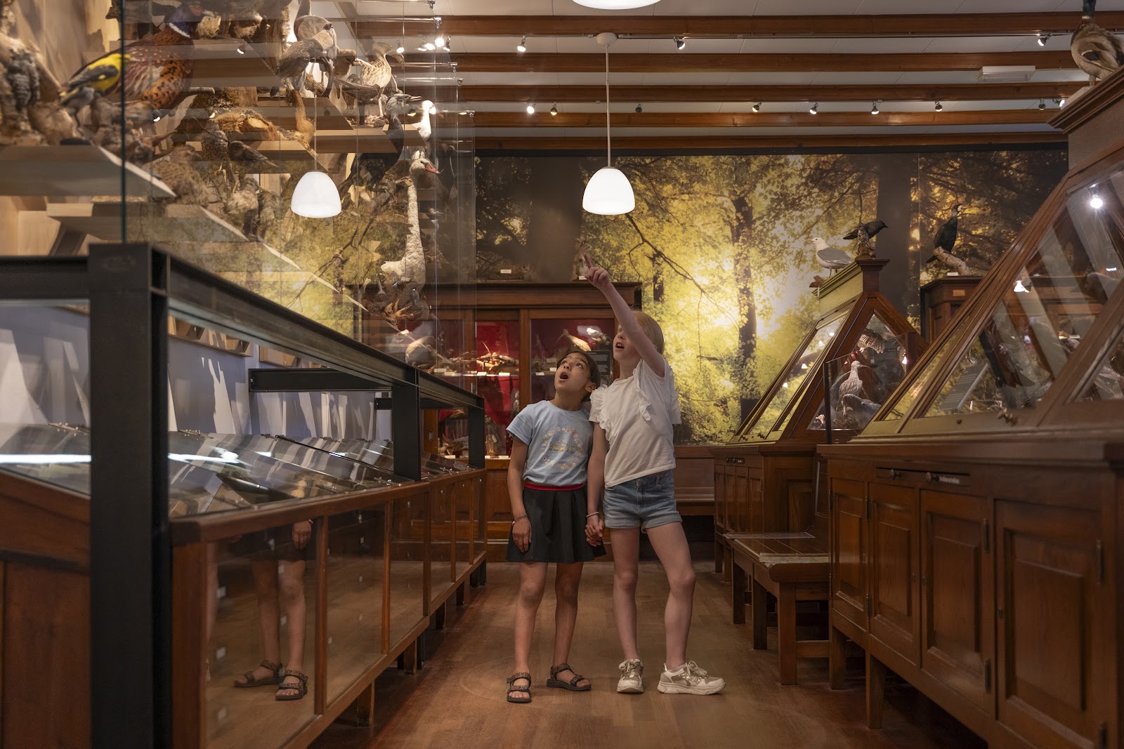 Foto van Museum Natura Docet