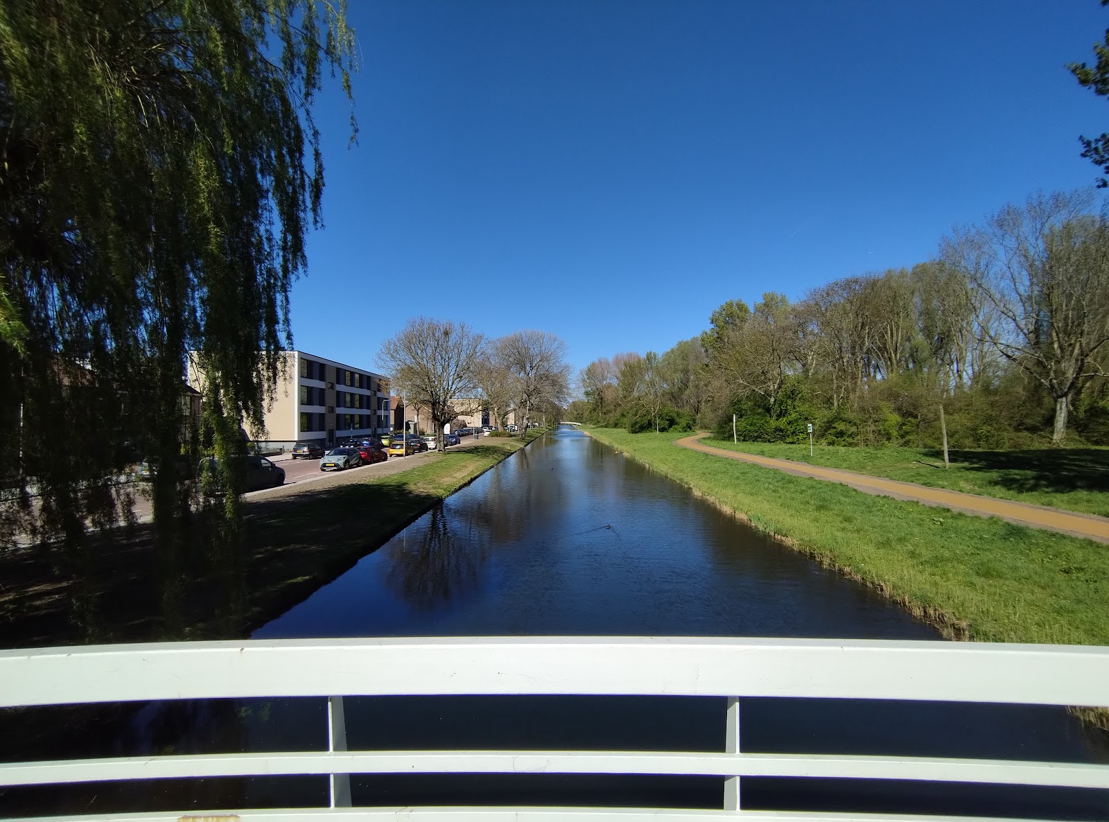 Foto van Rozenburg