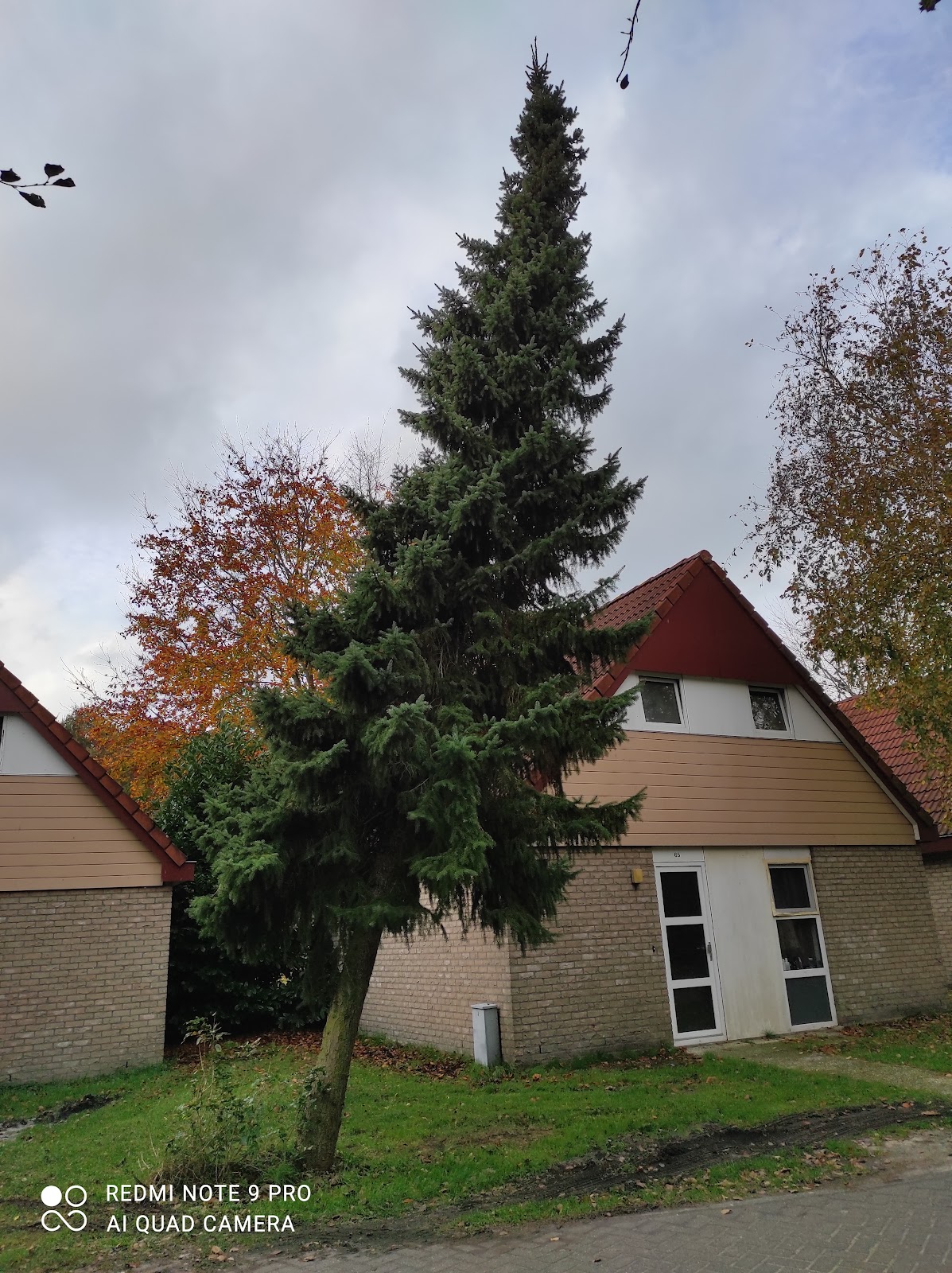 Foto van Rozenborg