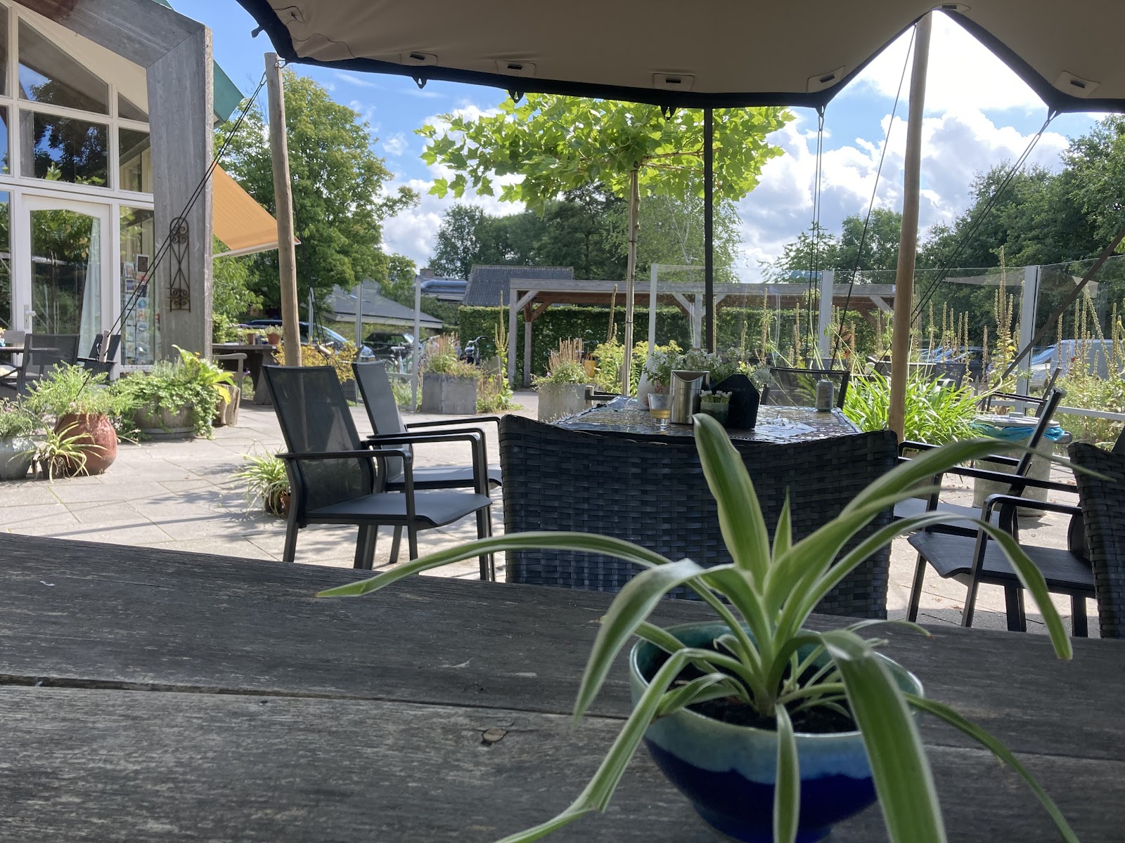 Foto van Kardeis