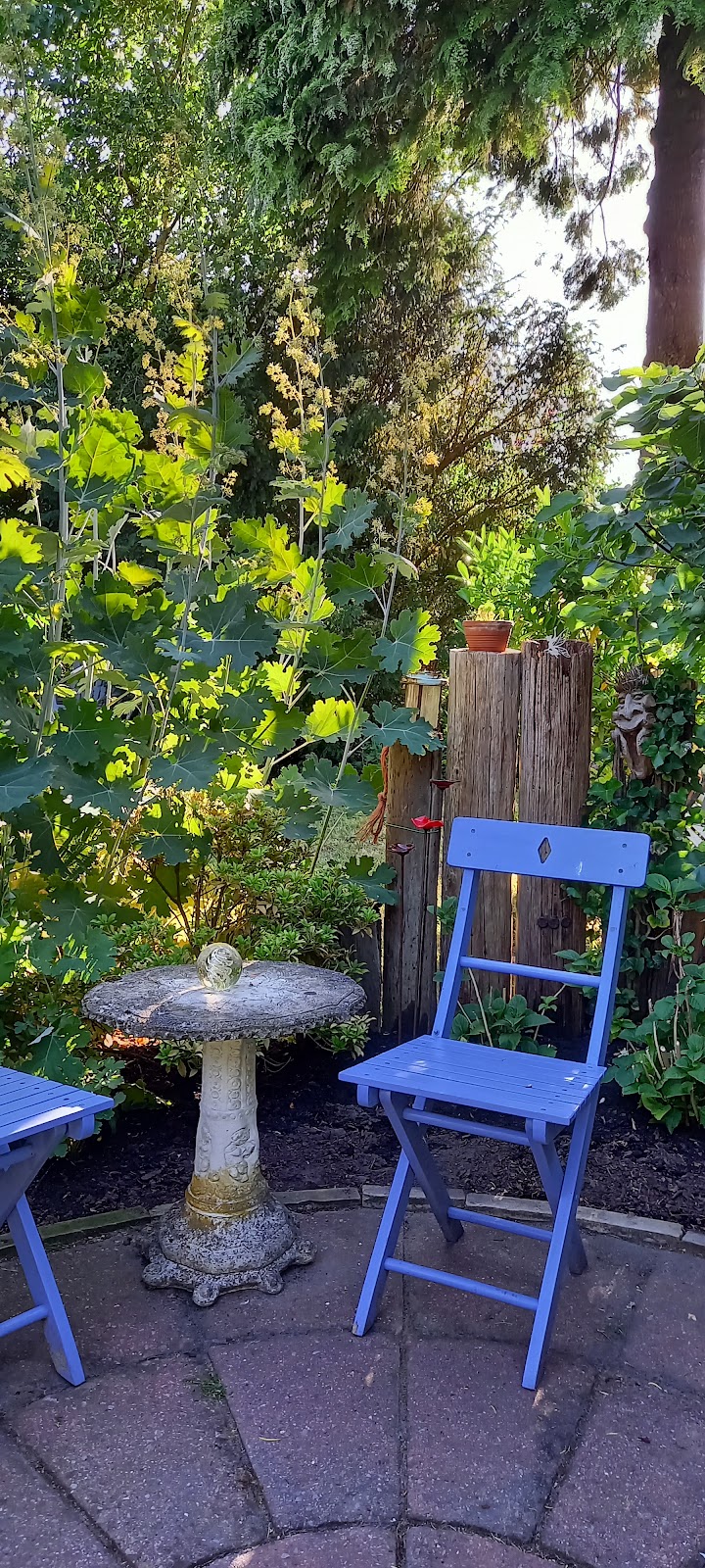 Foto van Theeschenkerij Bellefleur
