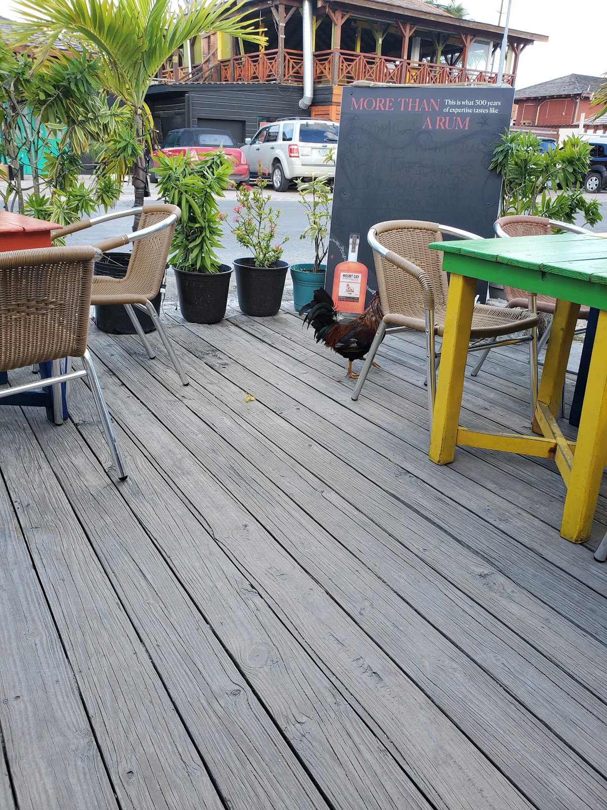 Foto van The Palms