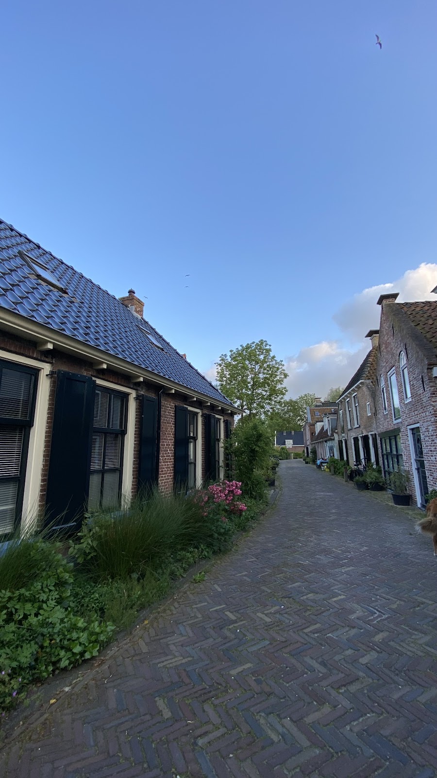 Foto van Wandeling Snakkerburen